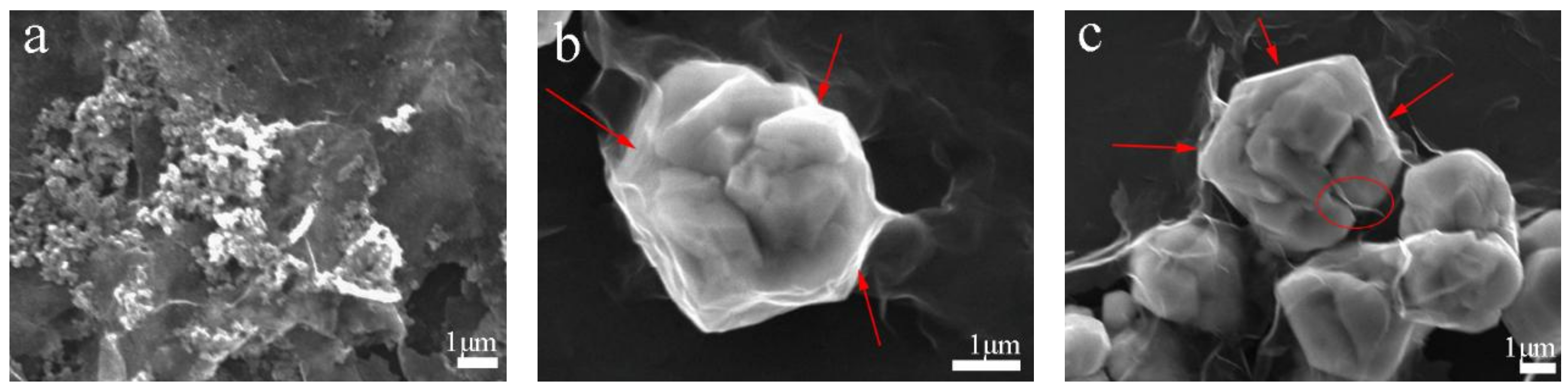 Materials 11 00600 g003