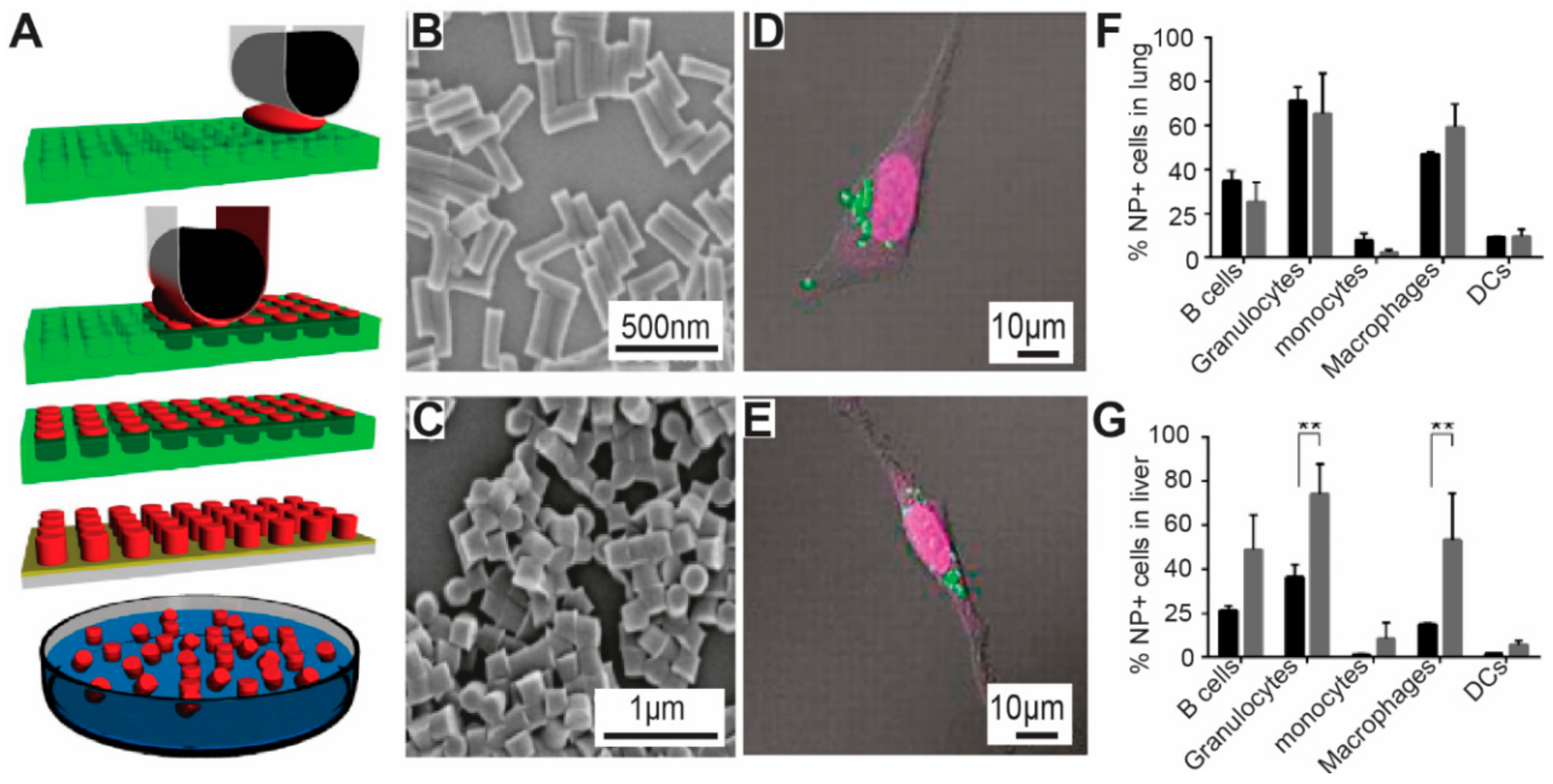 Materials 11 00623 g005