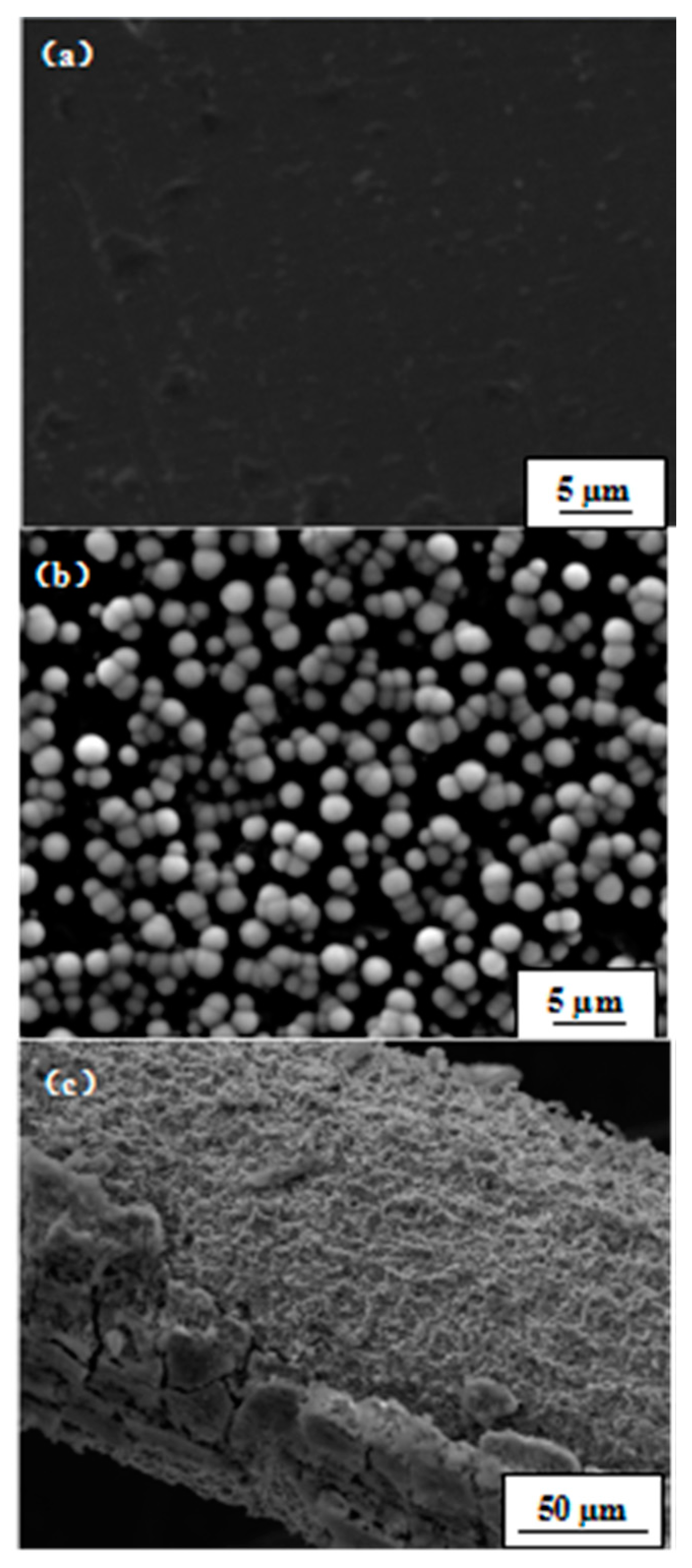 Materials 11 00675 g007a
