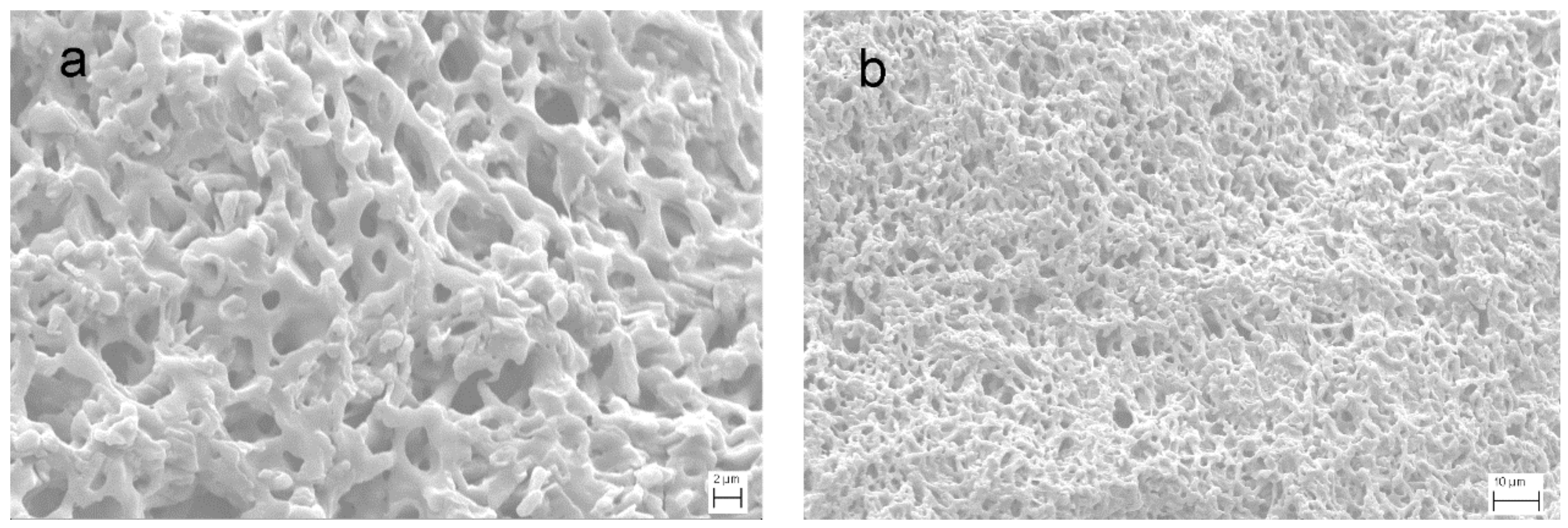 Materials 11 00679 g001