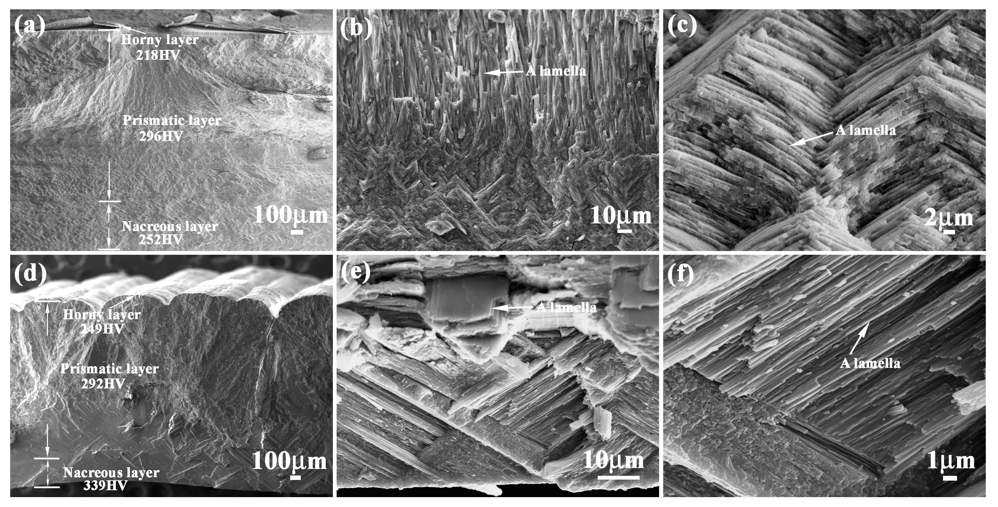 Materials 11 00680 g001