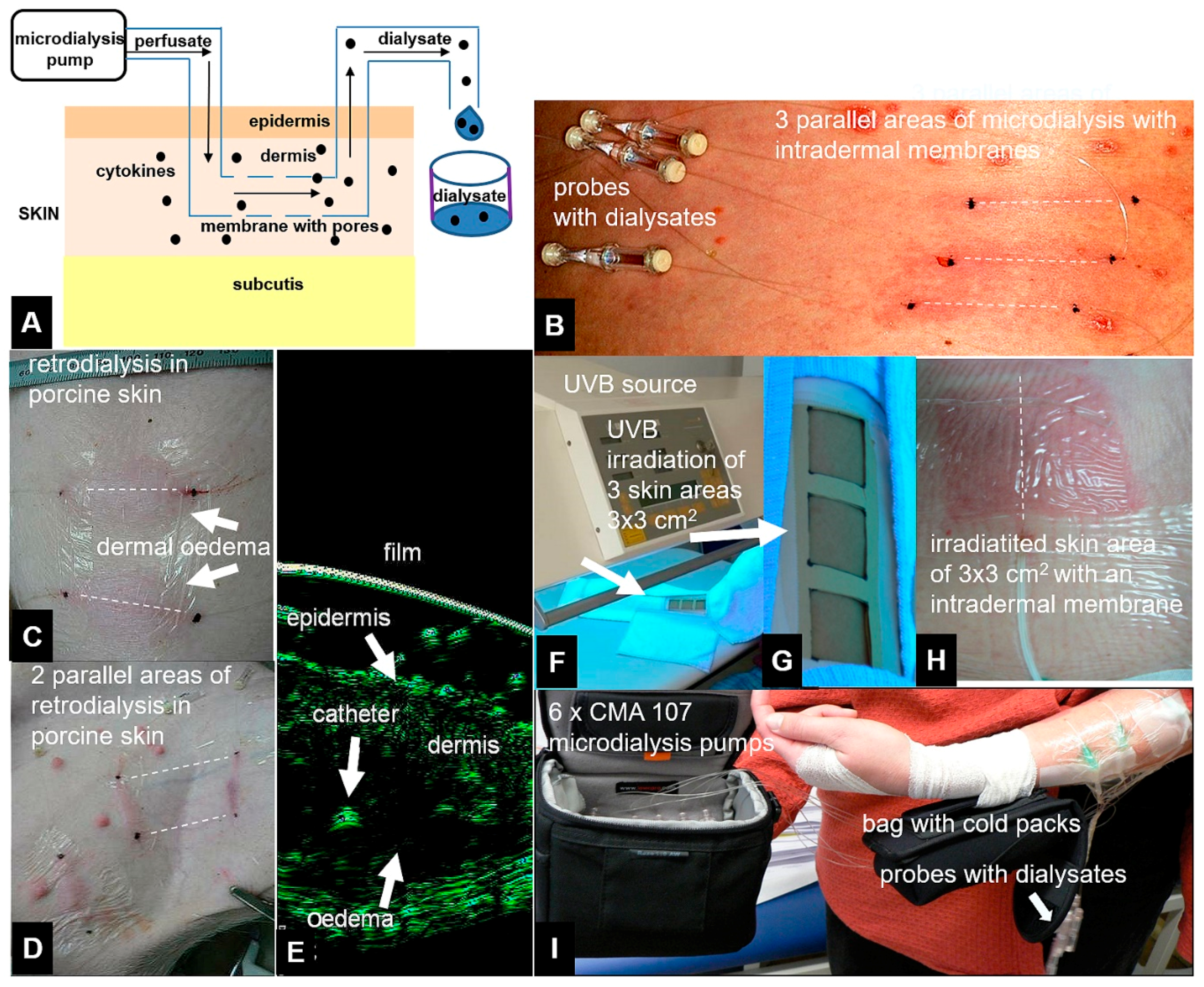 Materials 11 00682 g001