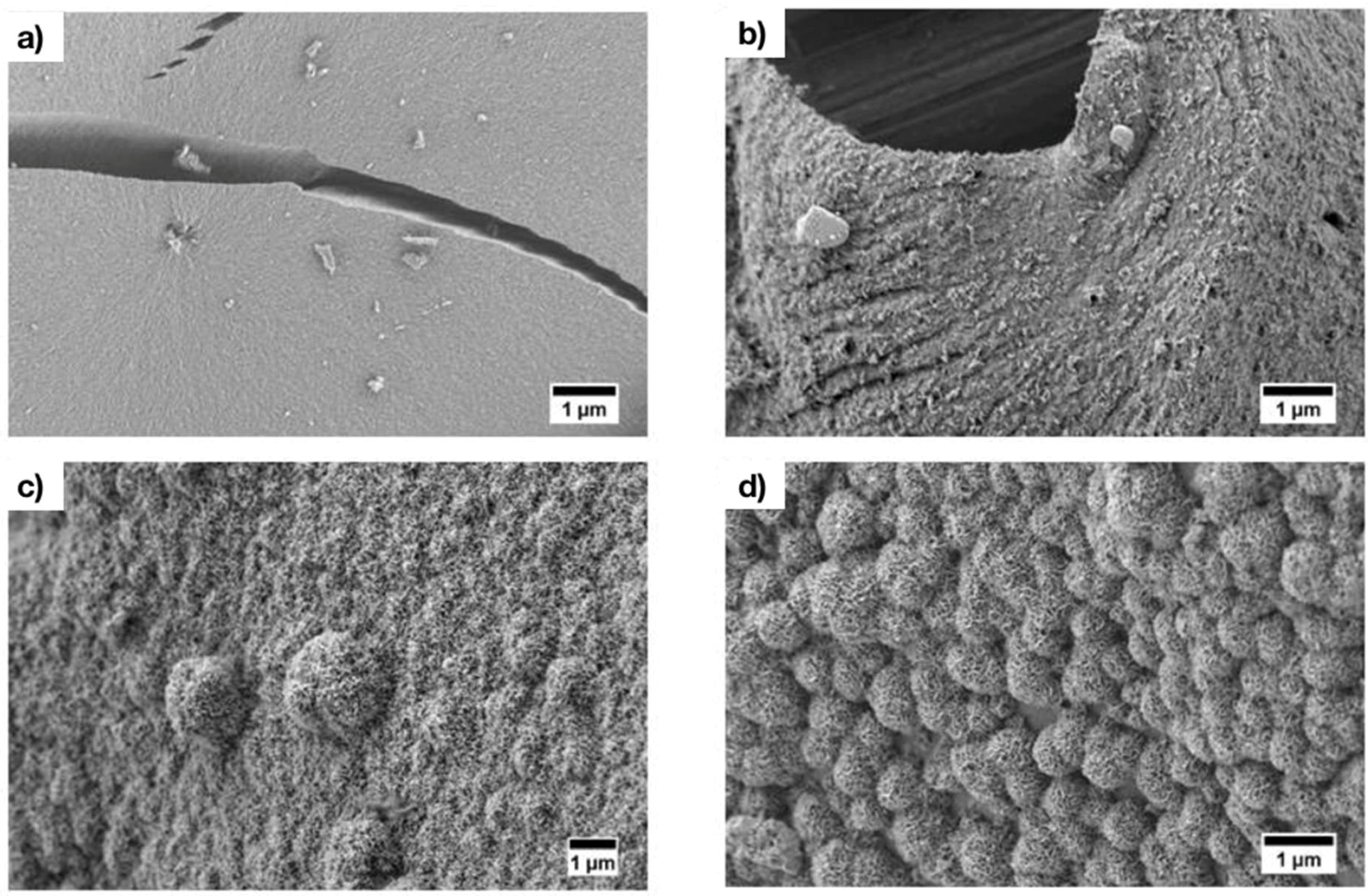 Materials 11 00692 g003