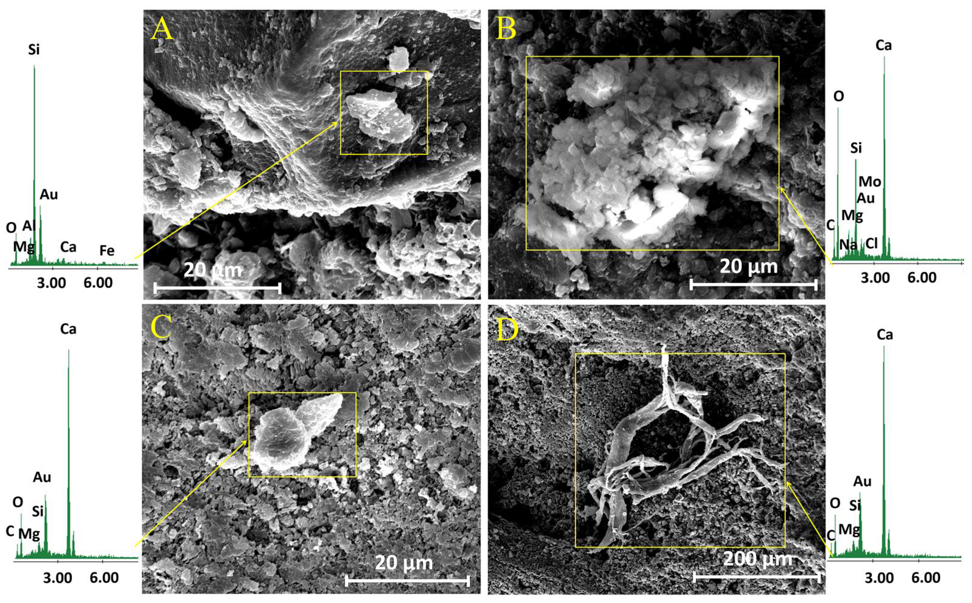 Materials 11 00694 g005