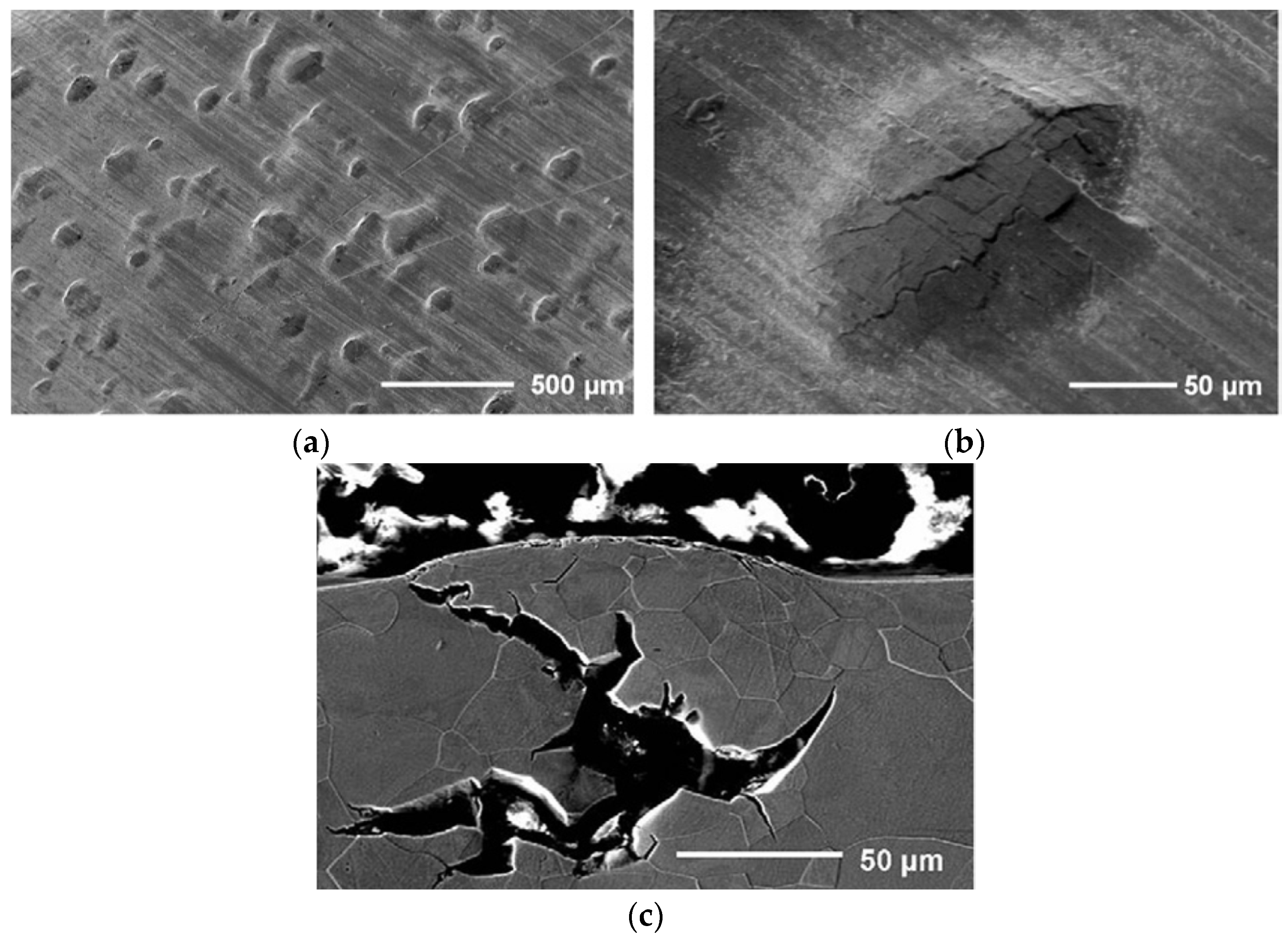 Materials 11 00698 g010