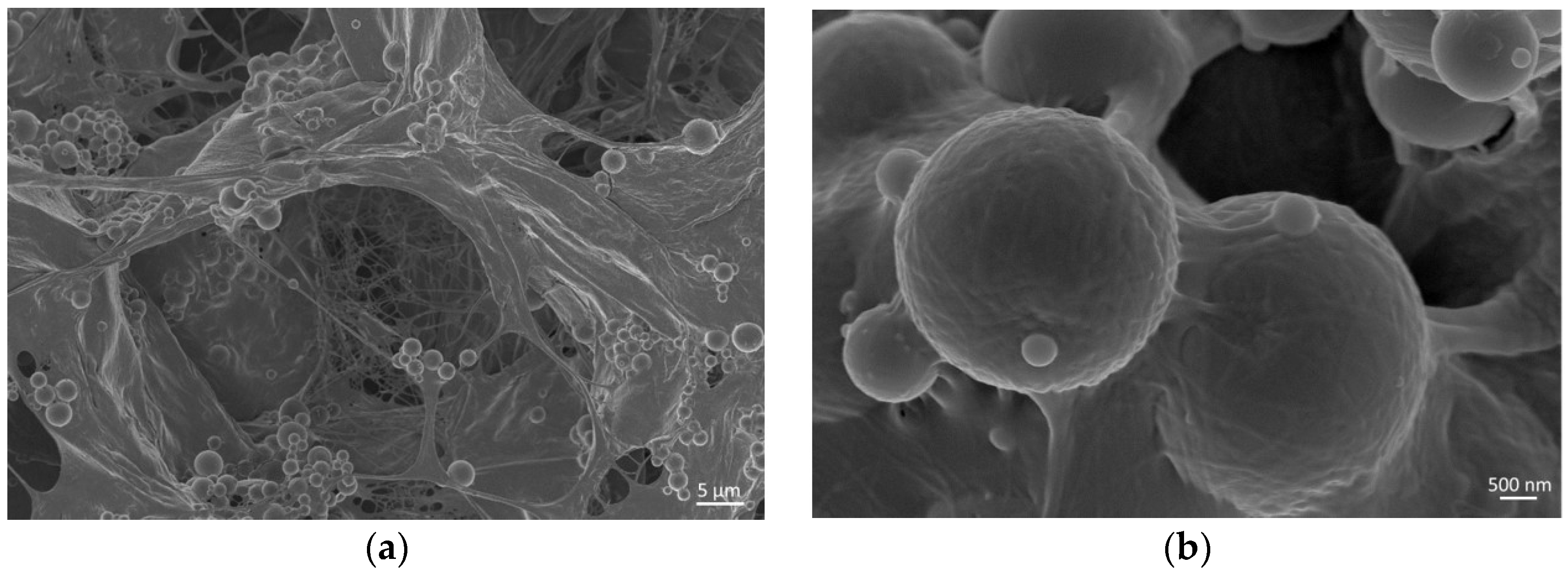 Materials 11 00700 g001