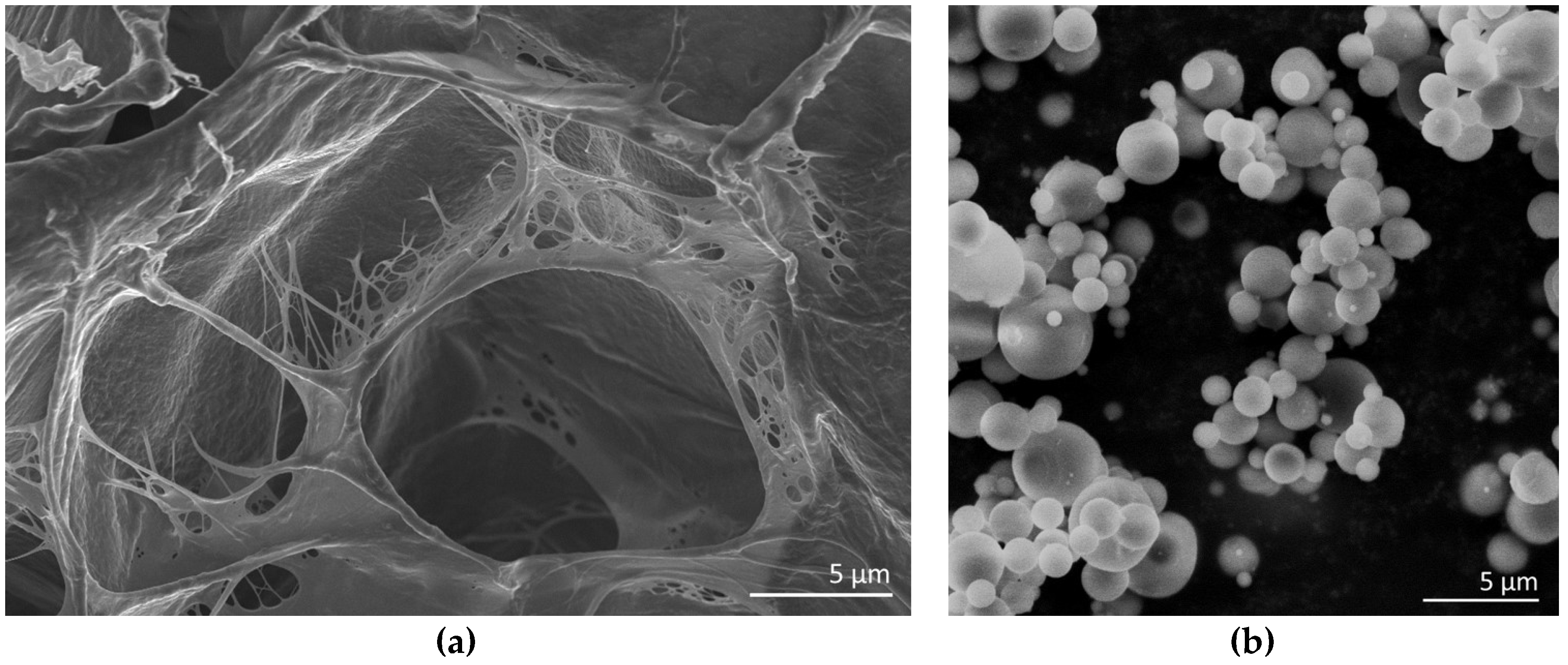 Materials 11 00700 g0a1