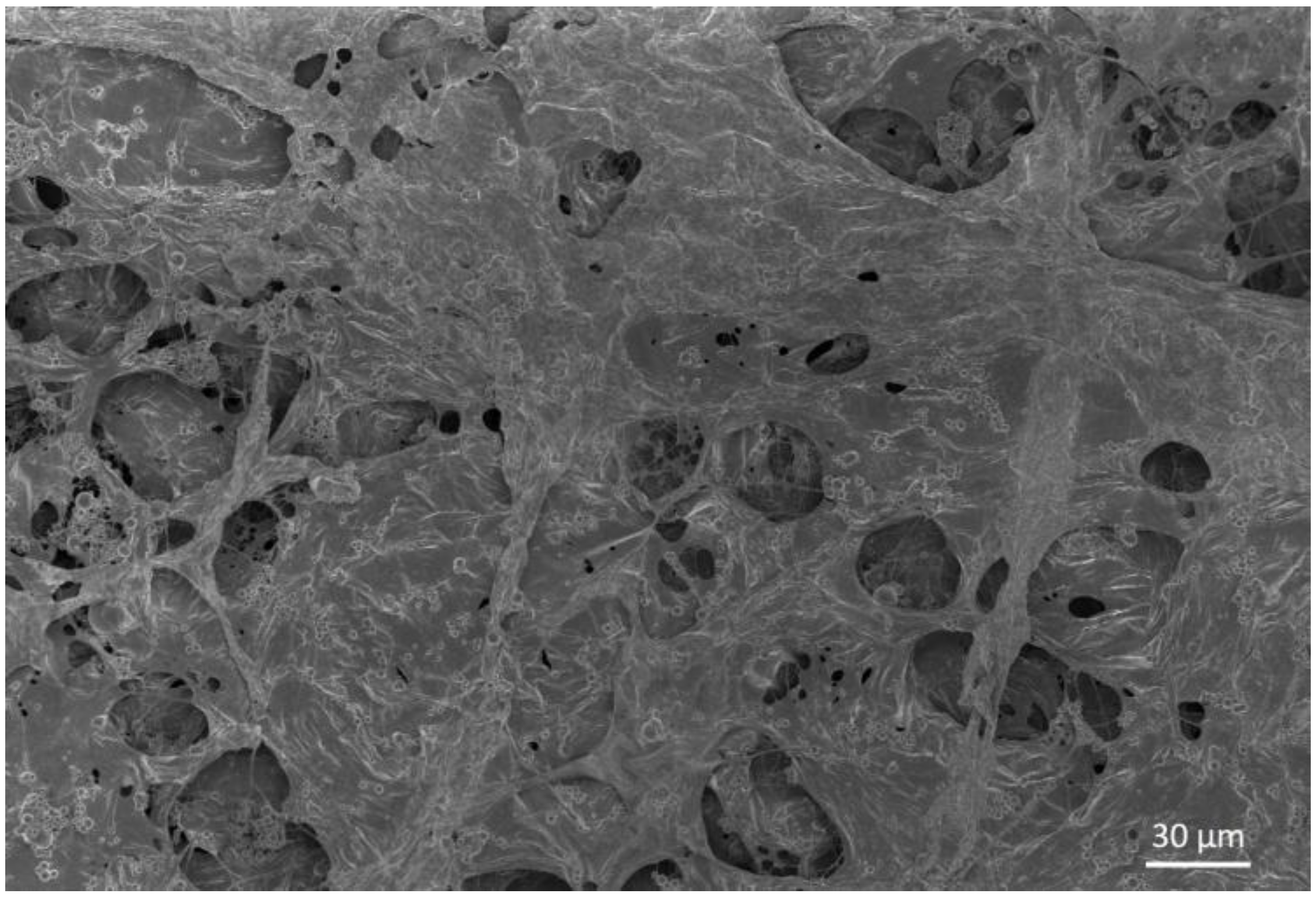 Materials 11 00700 g0a2