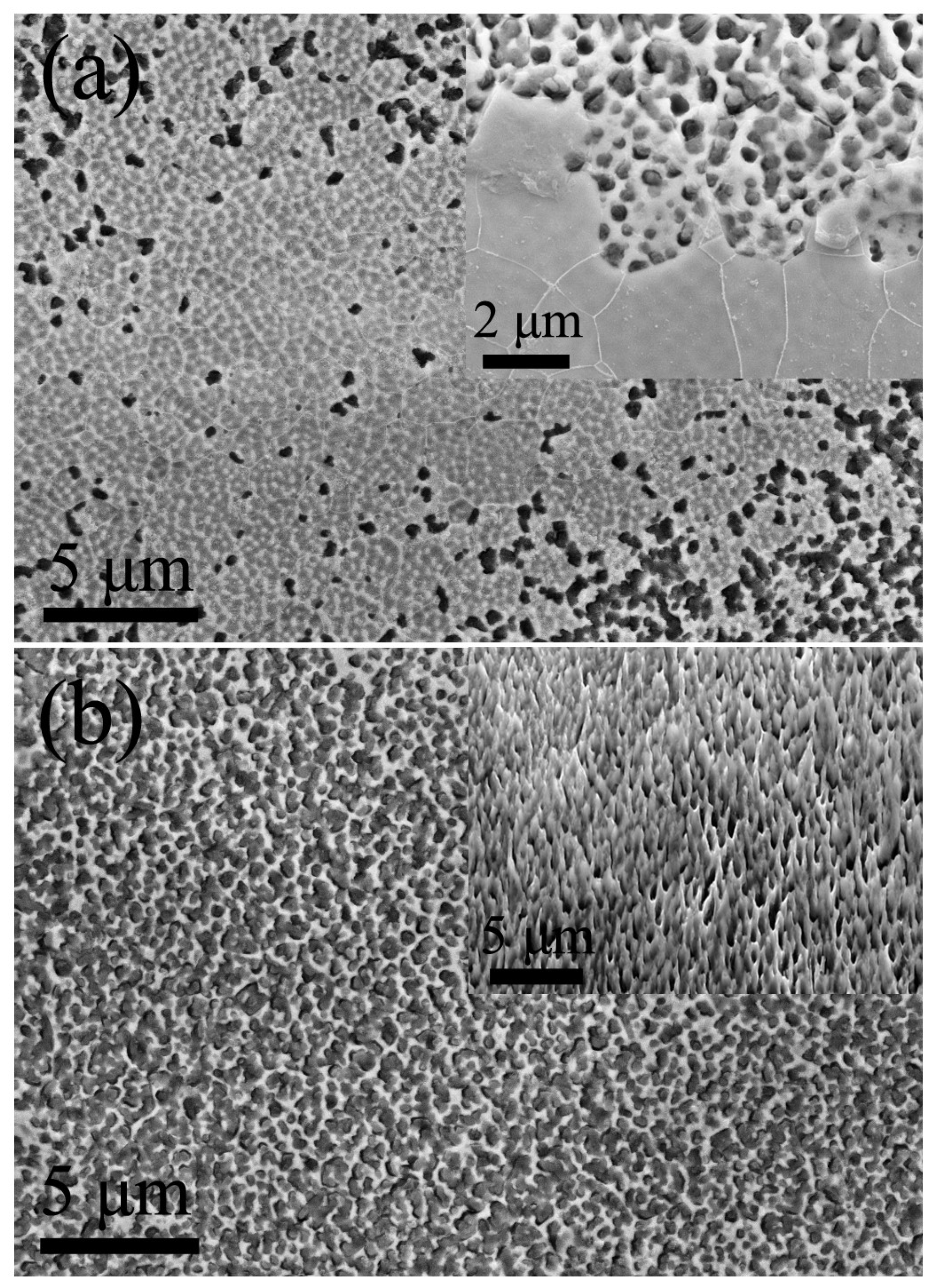 Materials 11 00701 g005 550