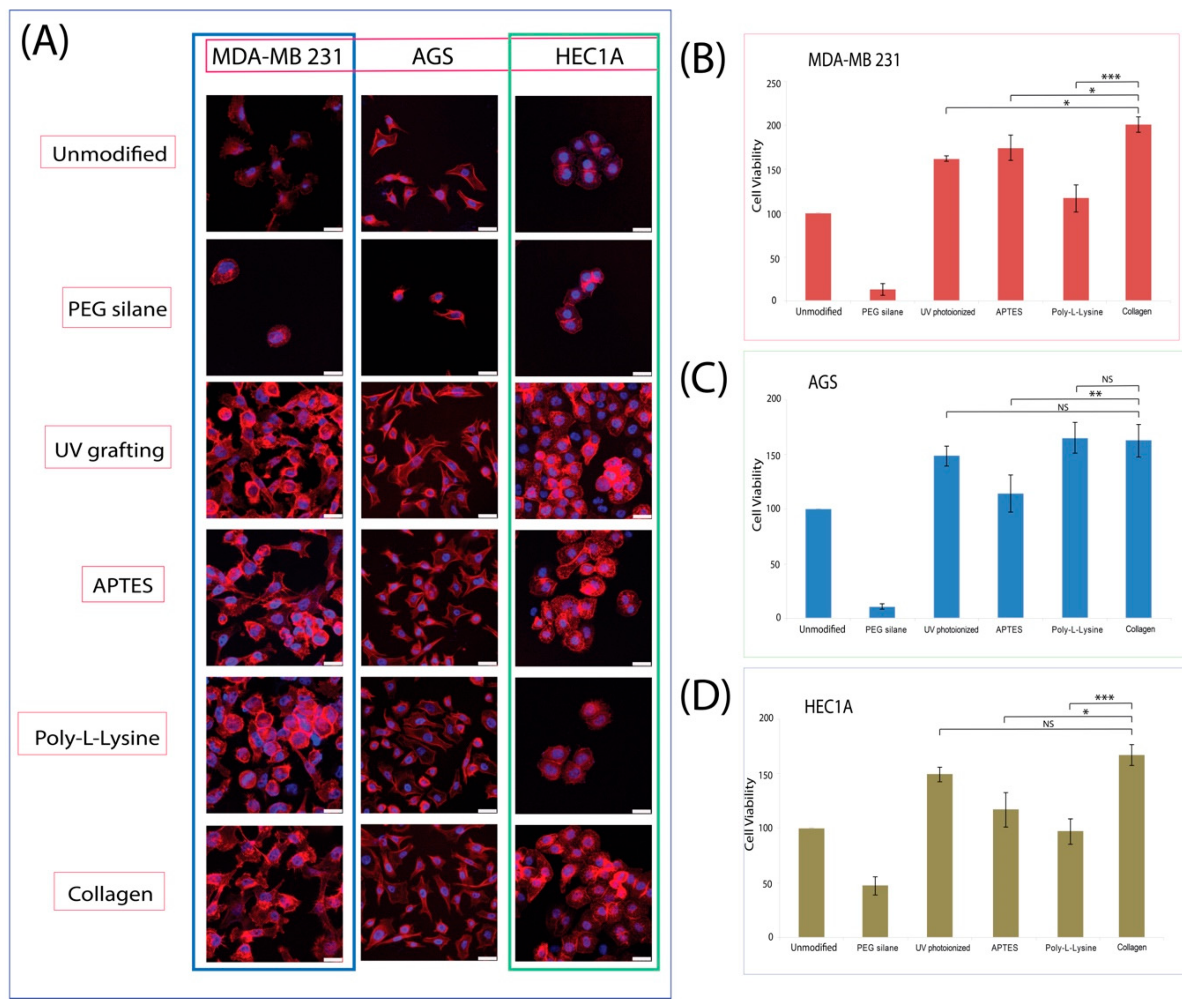 Materials 11 00713 g006 550
