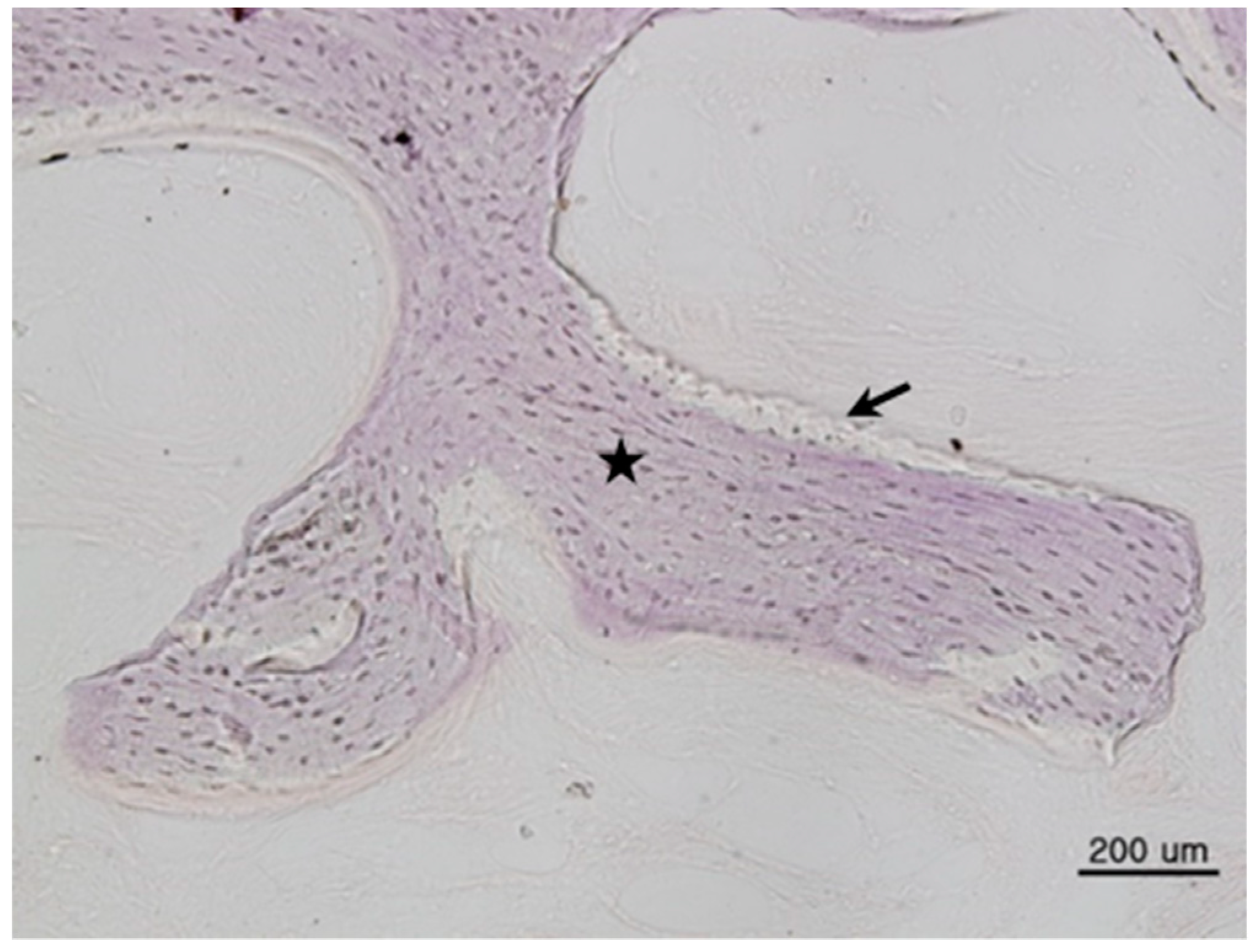 Materials 11 00714 g001 550