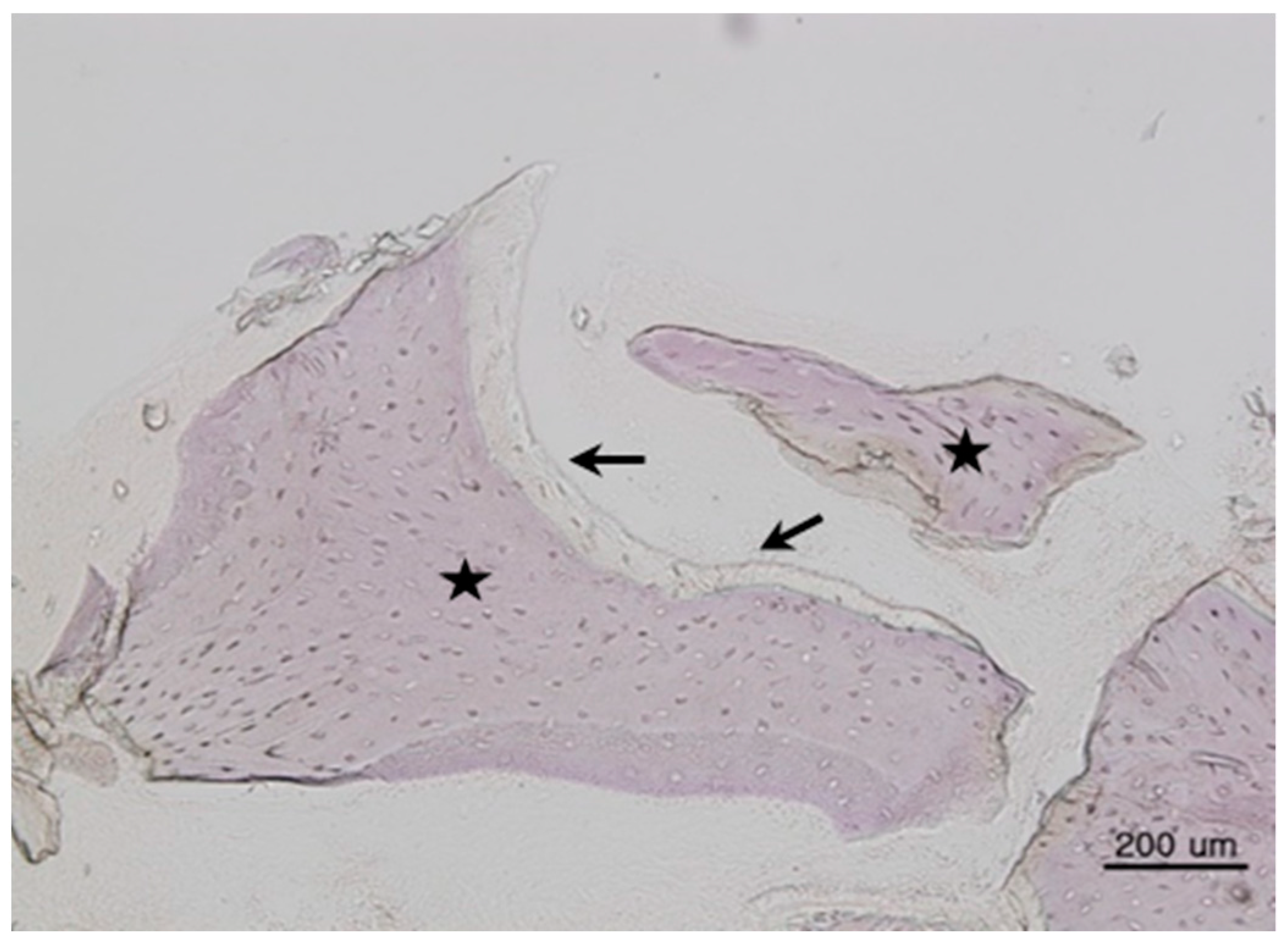 Materials 11 00714 g002 550