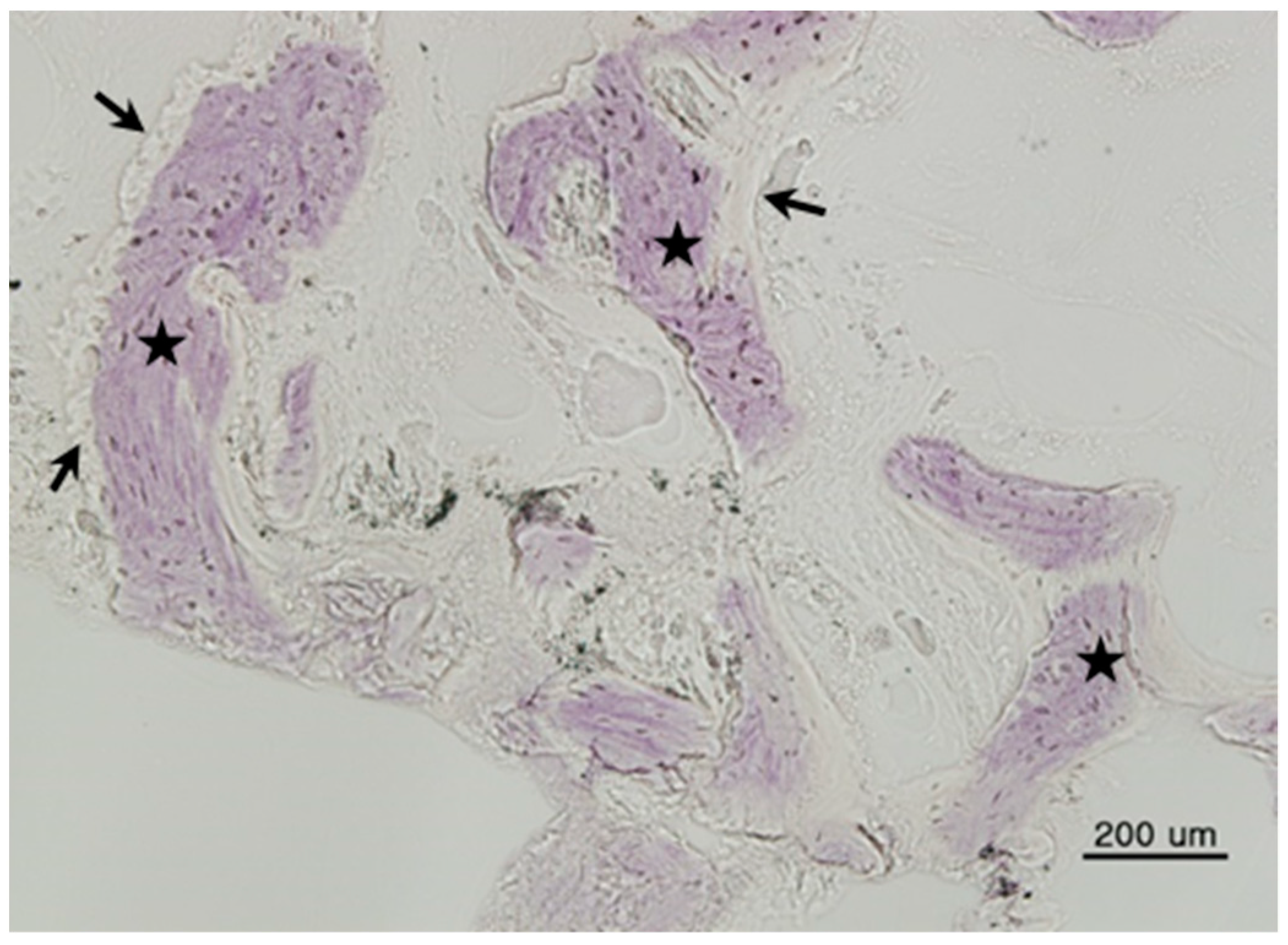 Materials 11 00714 g003 550