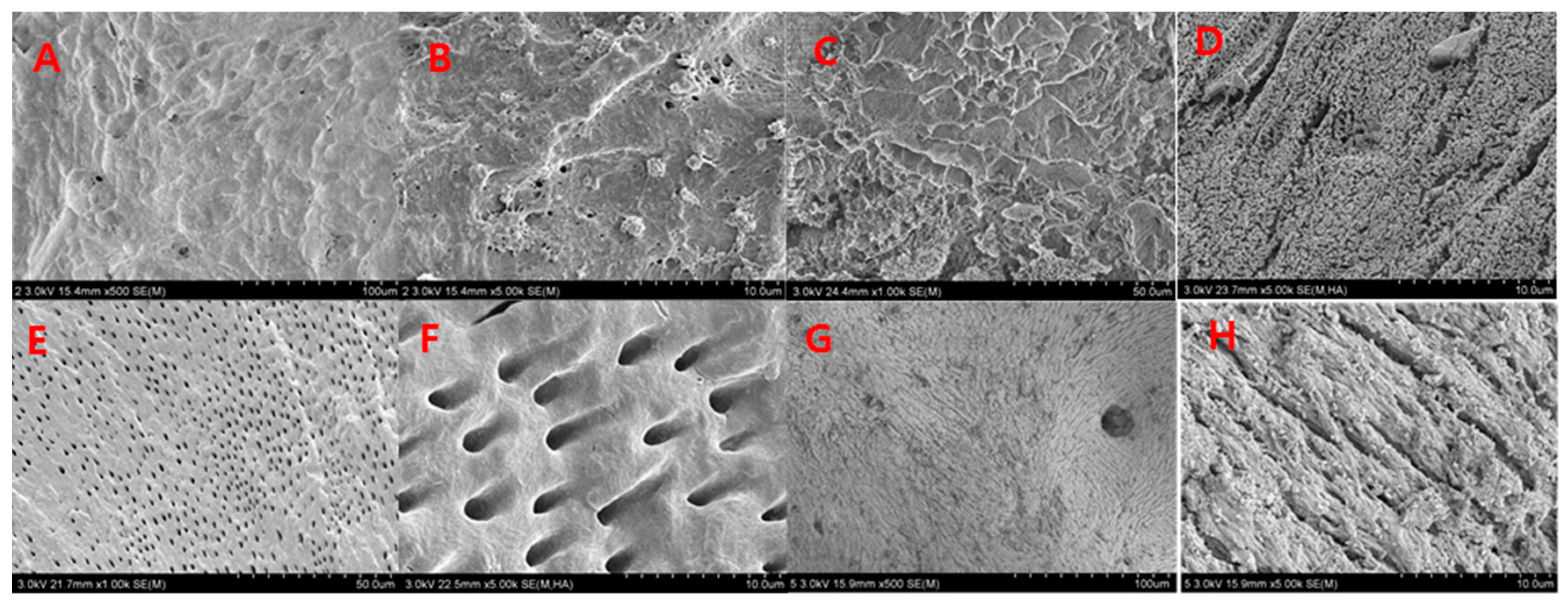 Materials 11 00714 g007 550