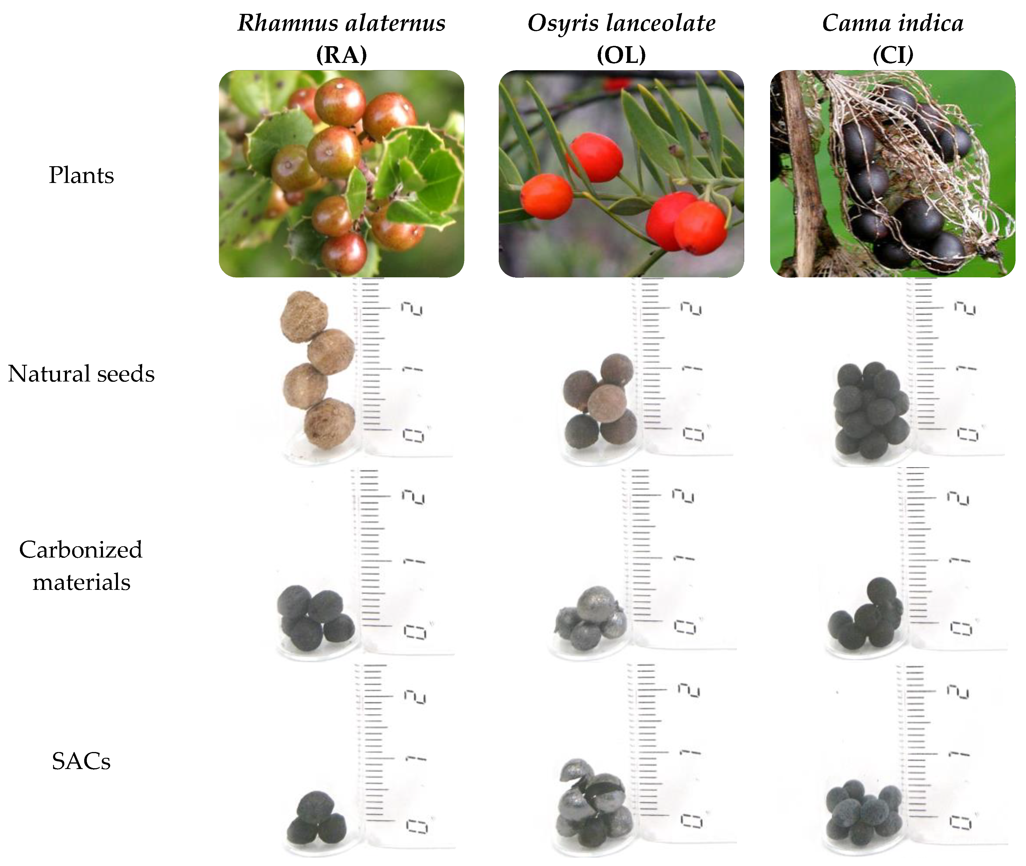 Materials 11 00770 g001 Materials 11 00770 g001