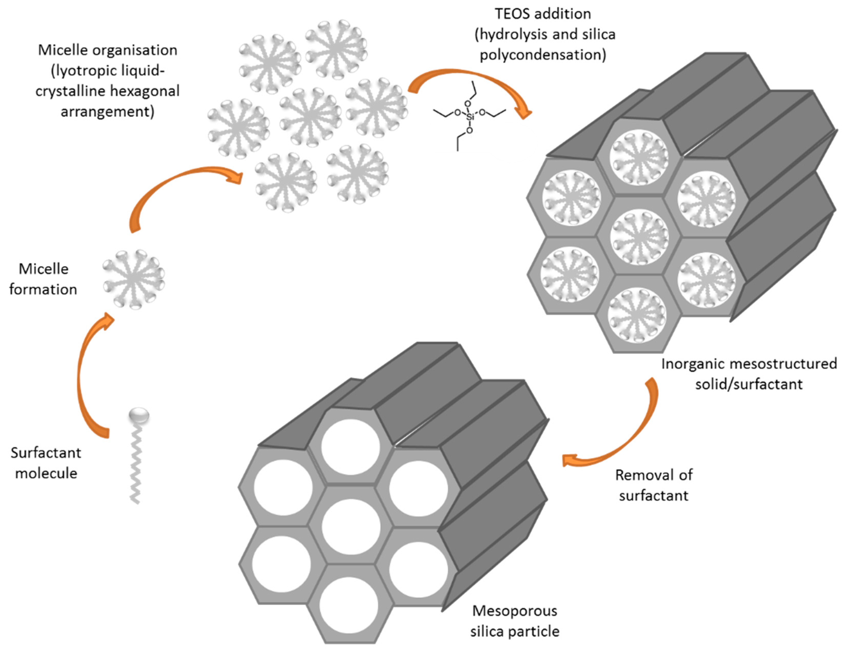 Materials 11 00779 g007 Materials 11 00779 g007
