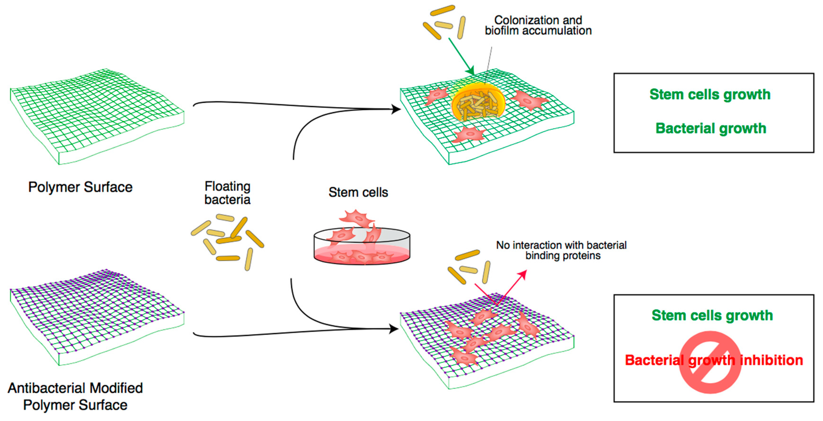 Materials 11 00795 g002 Materials 11 00795 g002