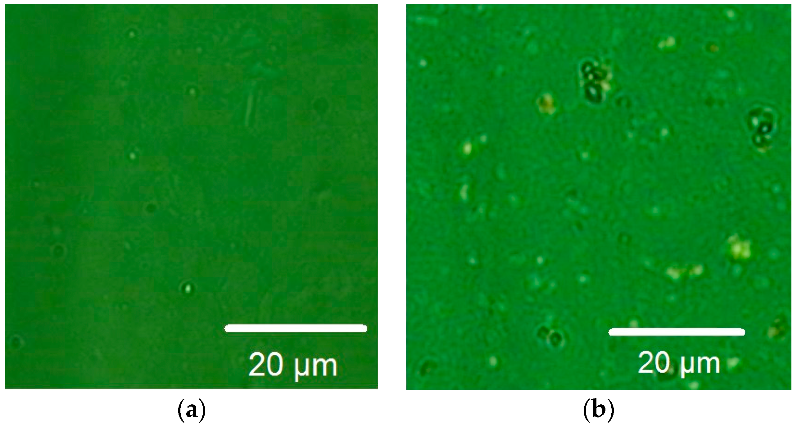 Materials 11 00804 g008 Materials 11 00804 g008