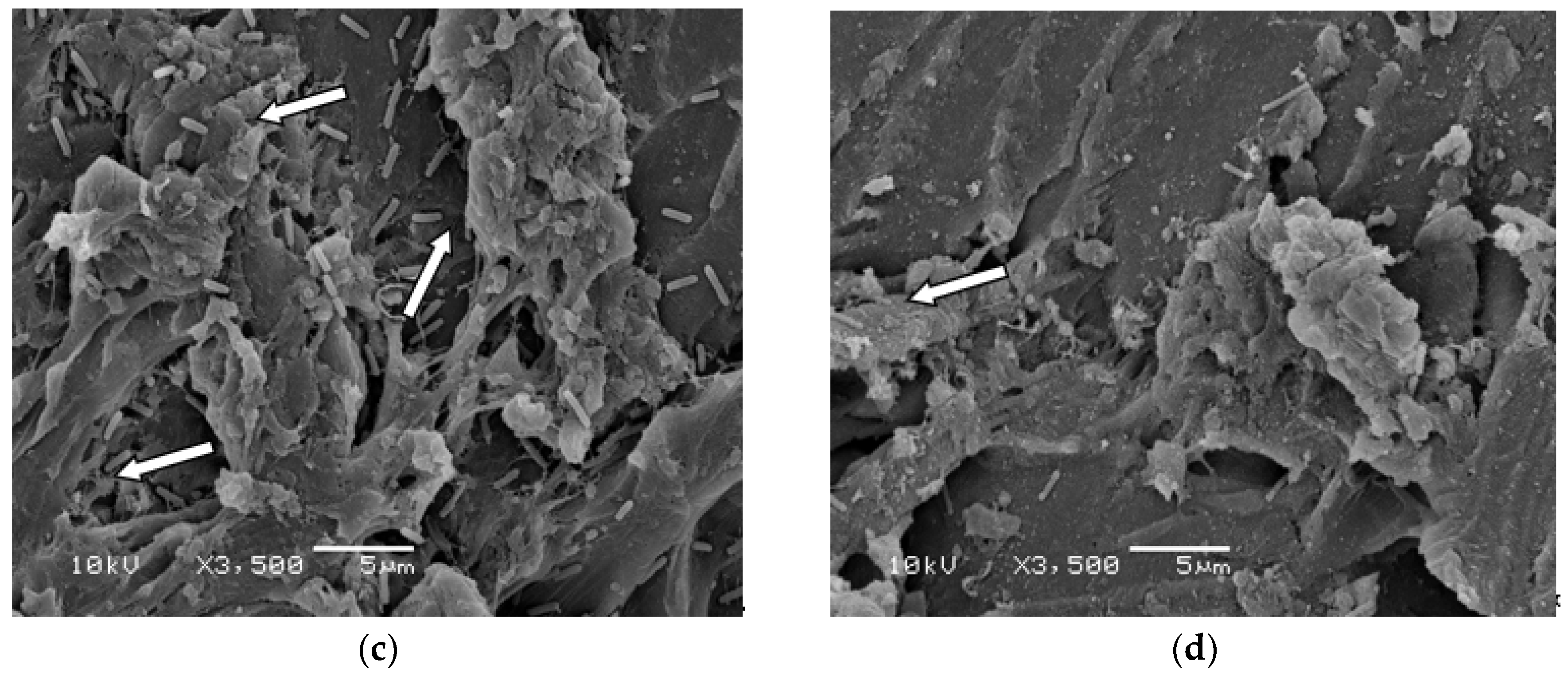 Materials 11 00811 g004b 550