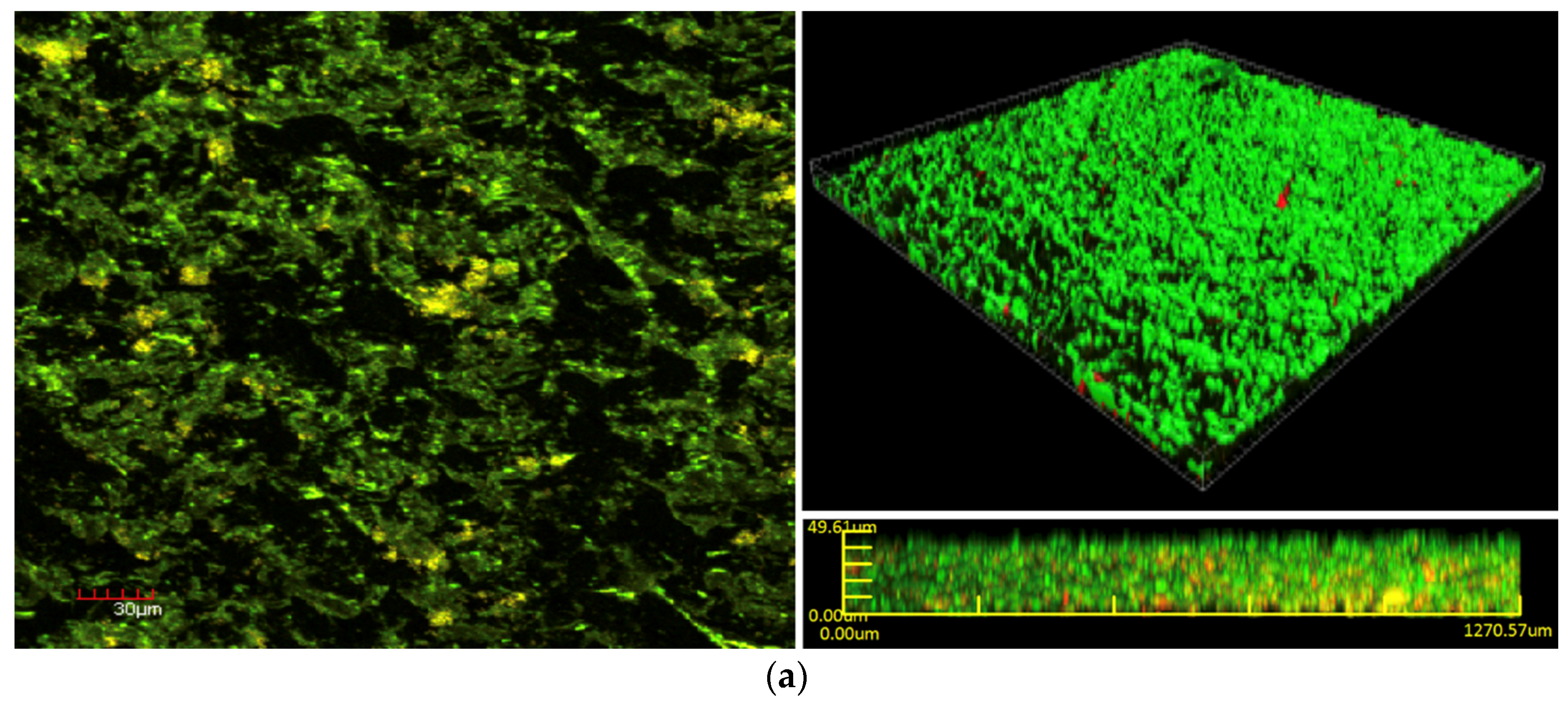 Materials 11 00811 g005a 550