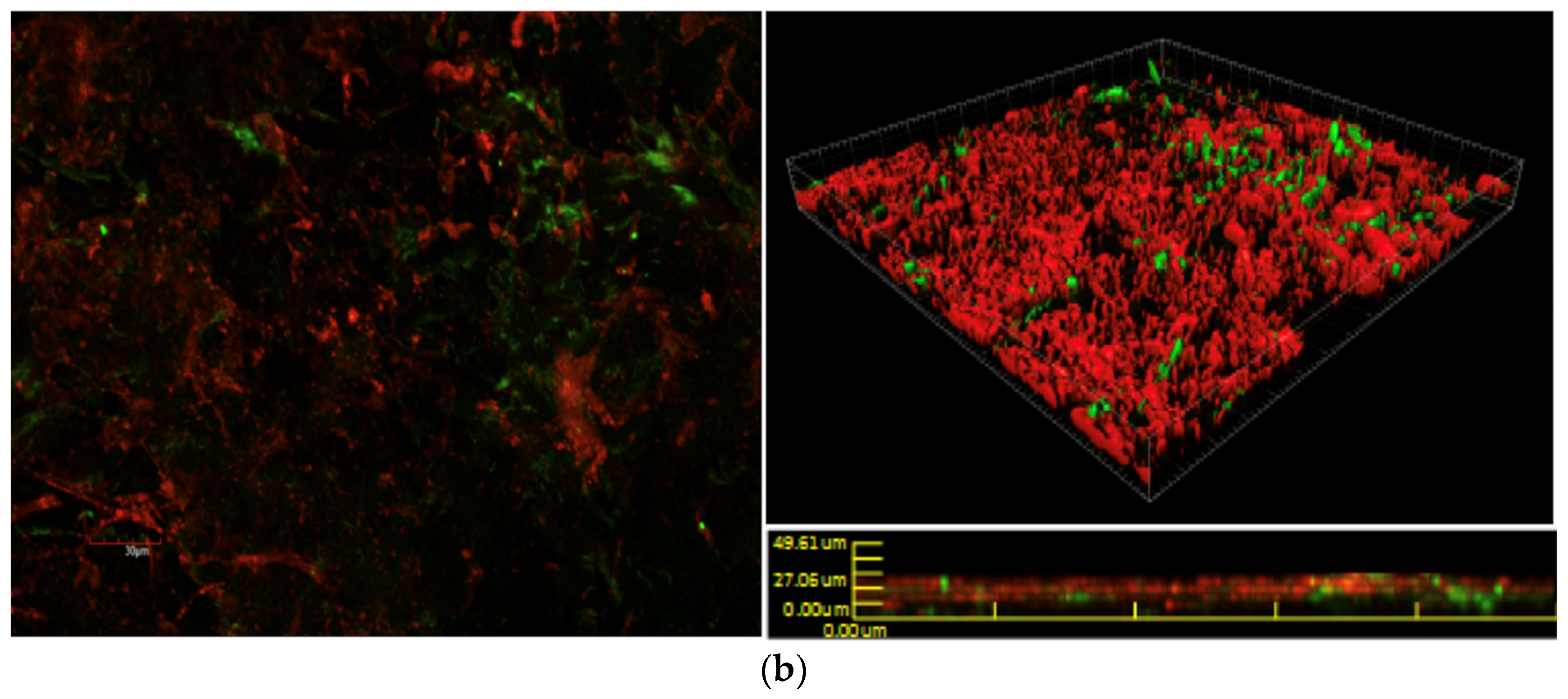 Materials 11 00811 g005b 550