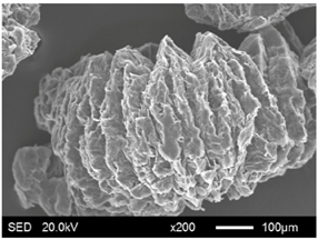 Materials 11 00818 i008