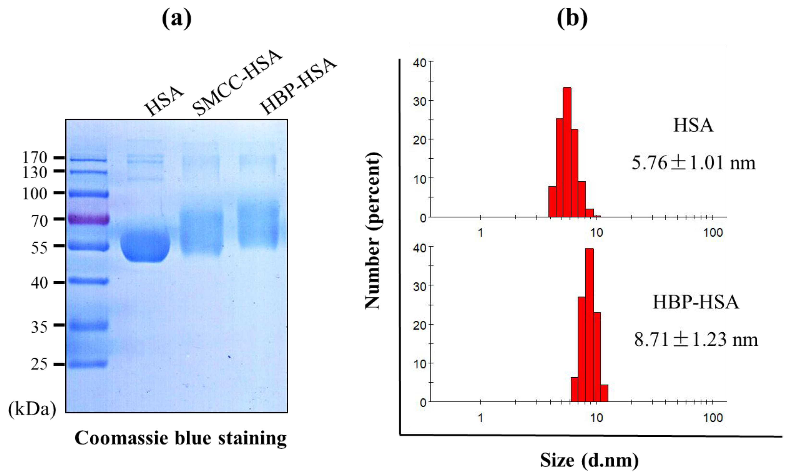 Materials 11 00849 g001