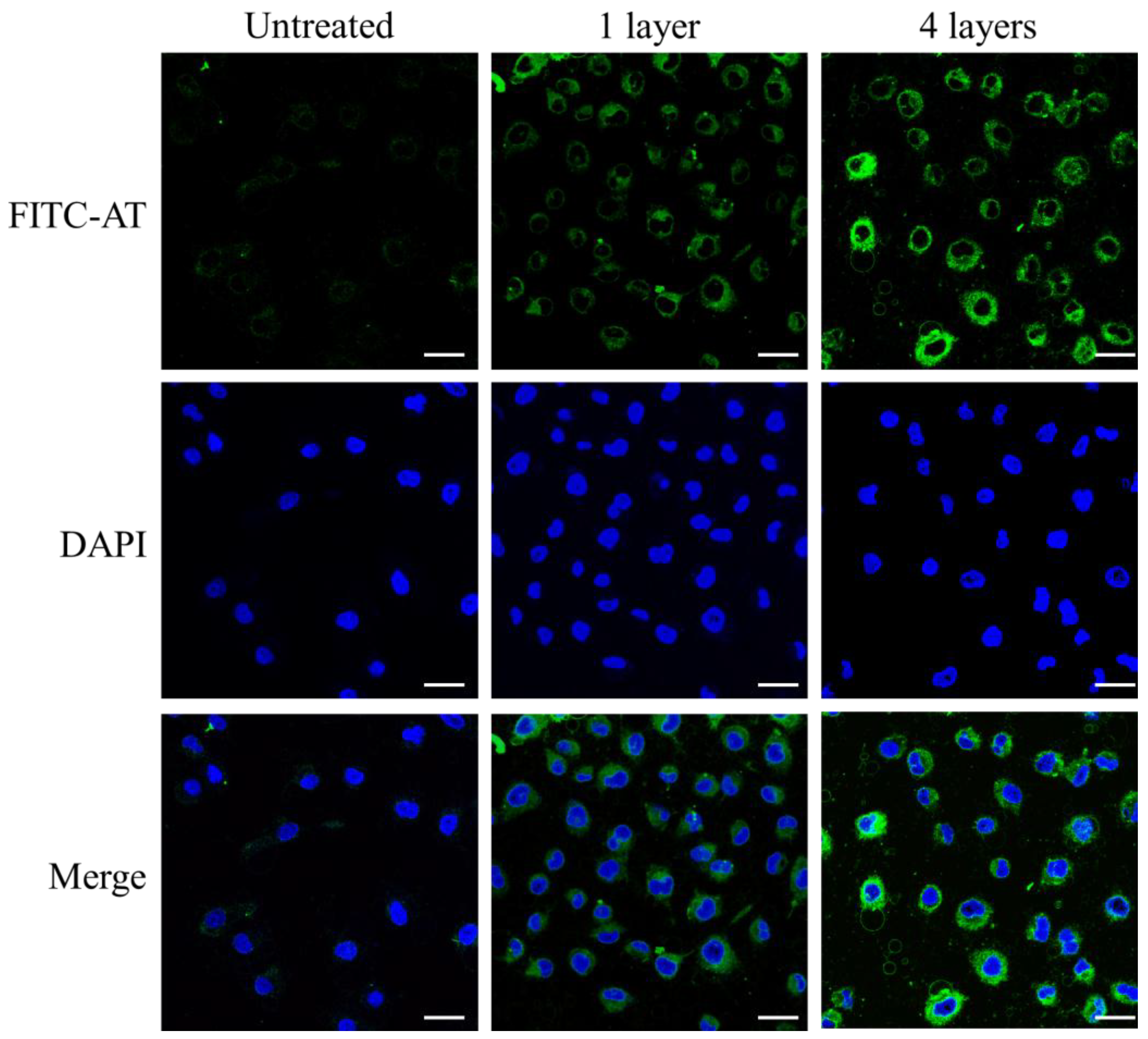 Materials 11 00849 g002