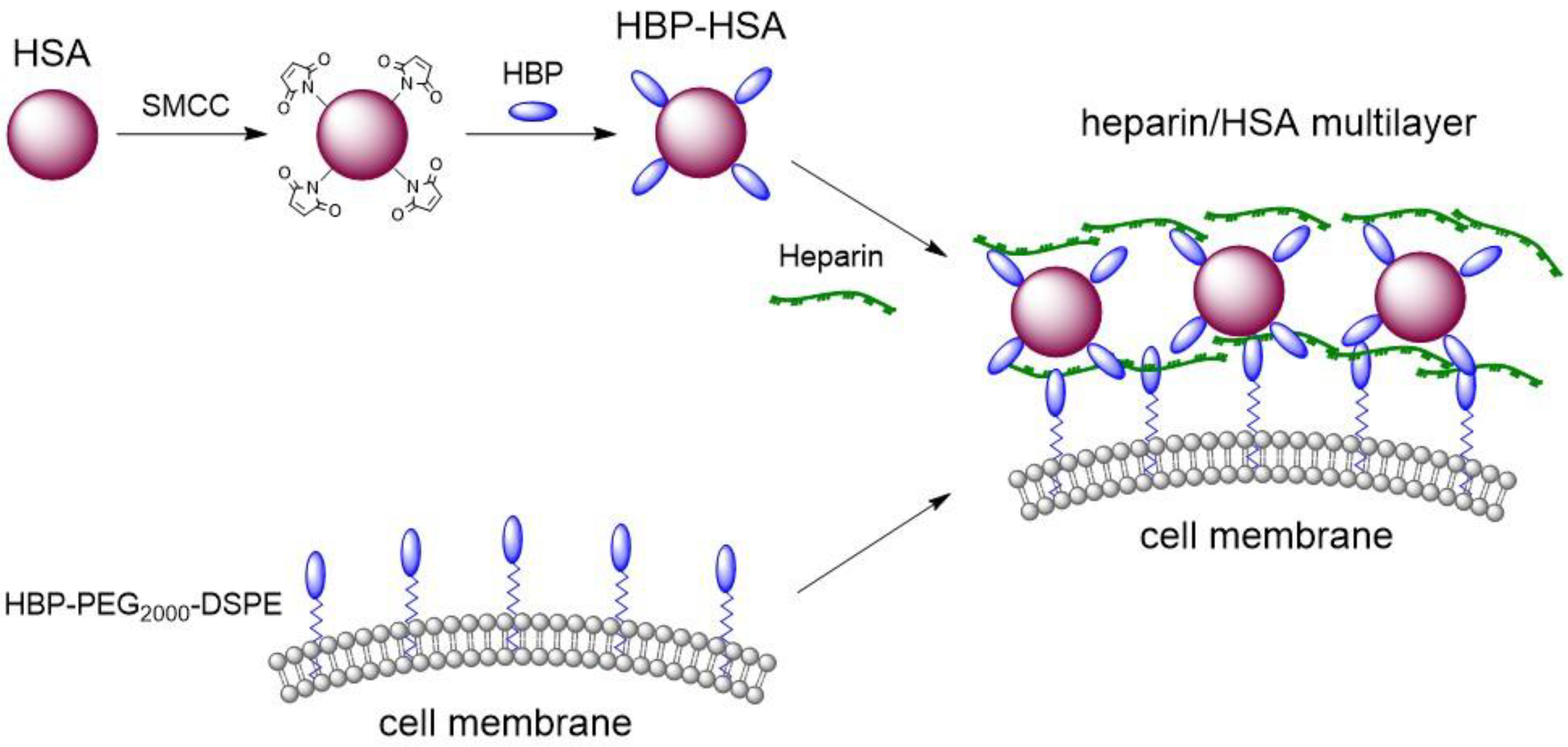 Materials 11 00849 sch001