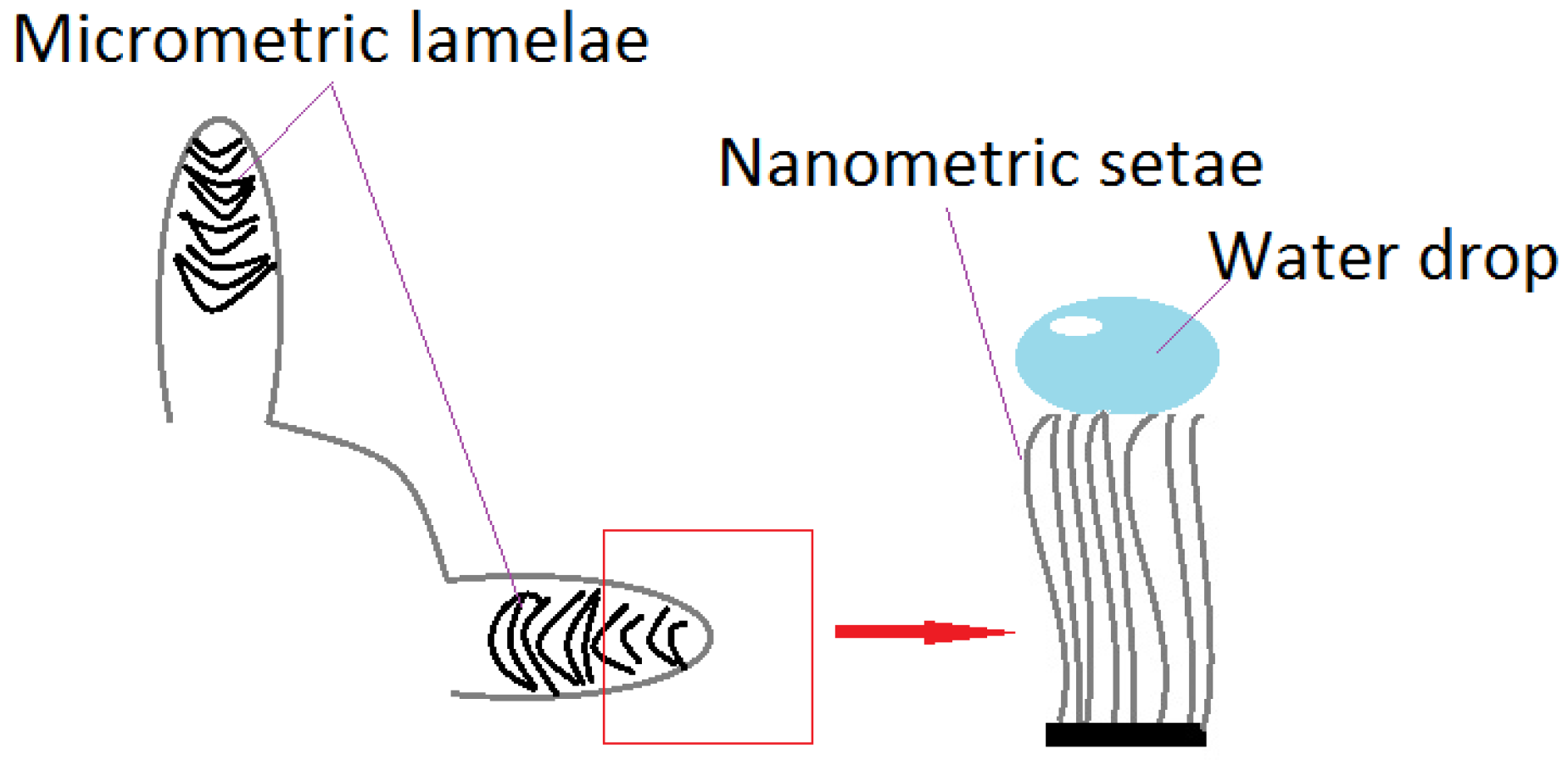 Materials 11 00866 g003