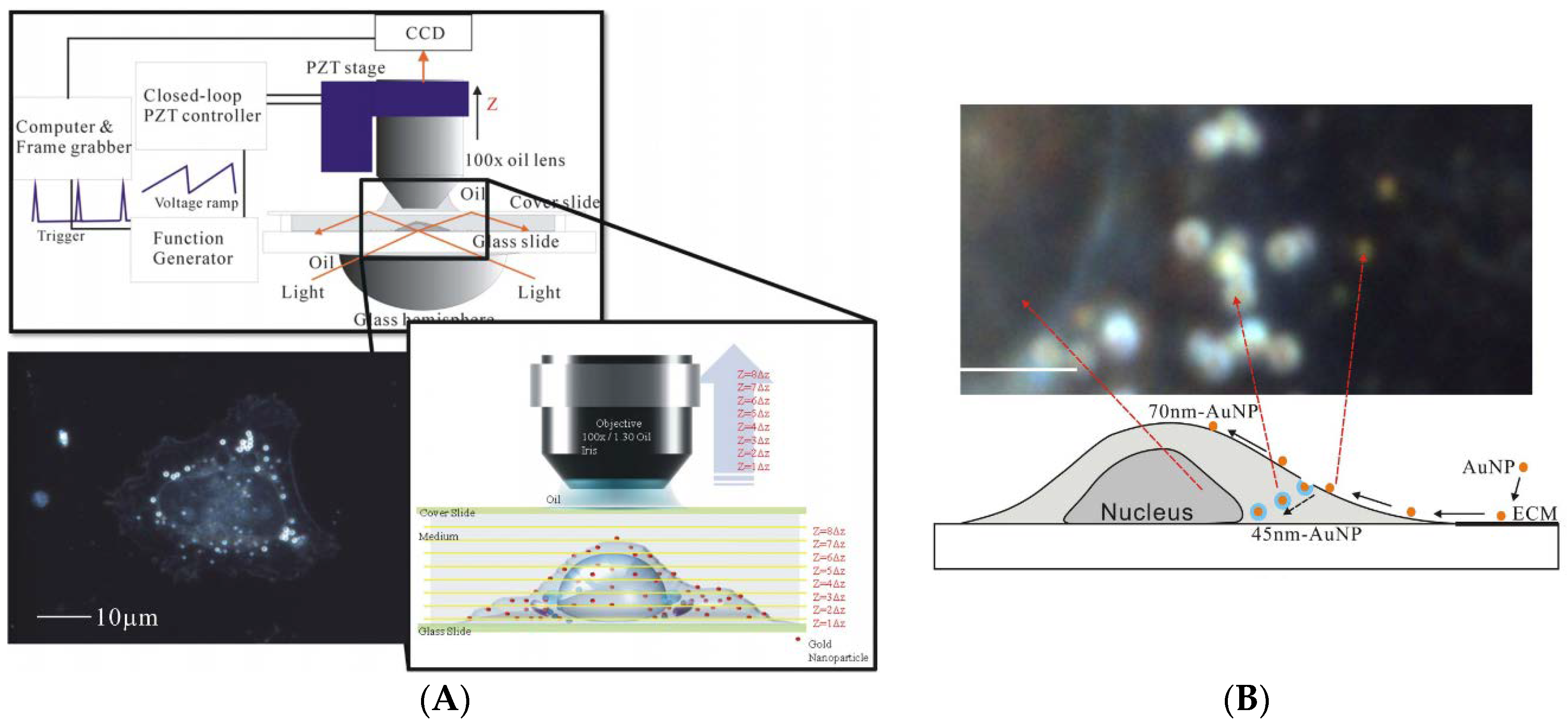 Materials 11 00882 g002