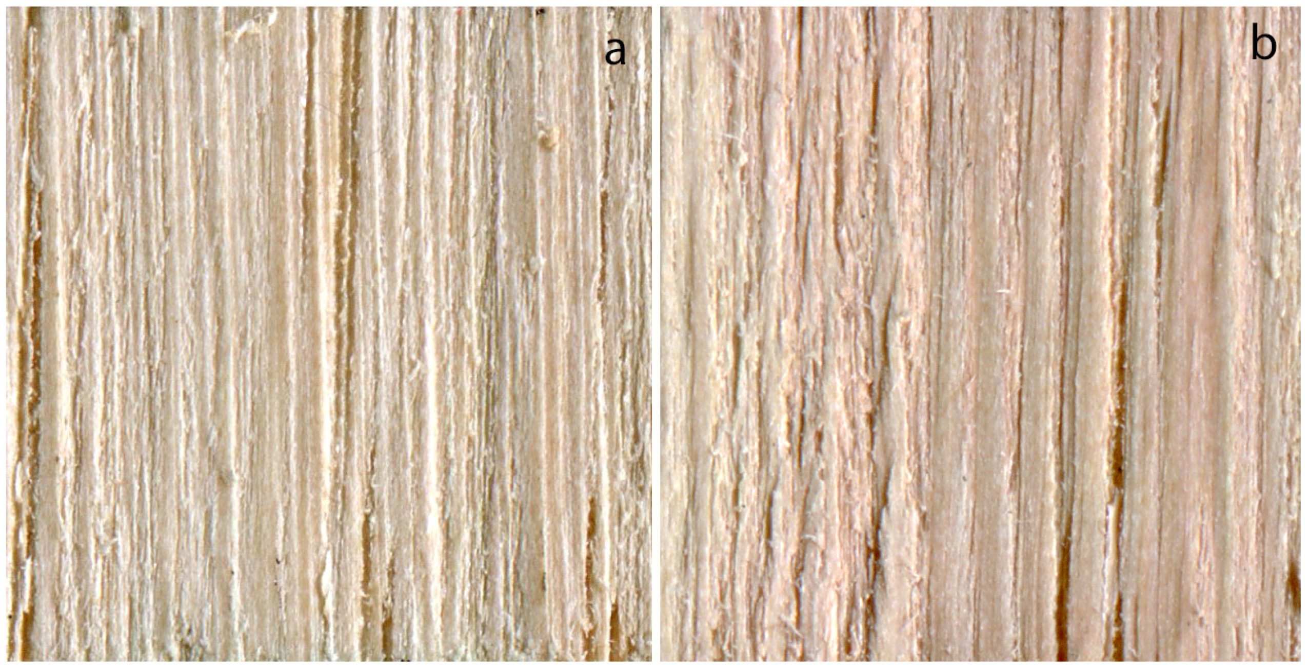 Materials 11 00897 g002
