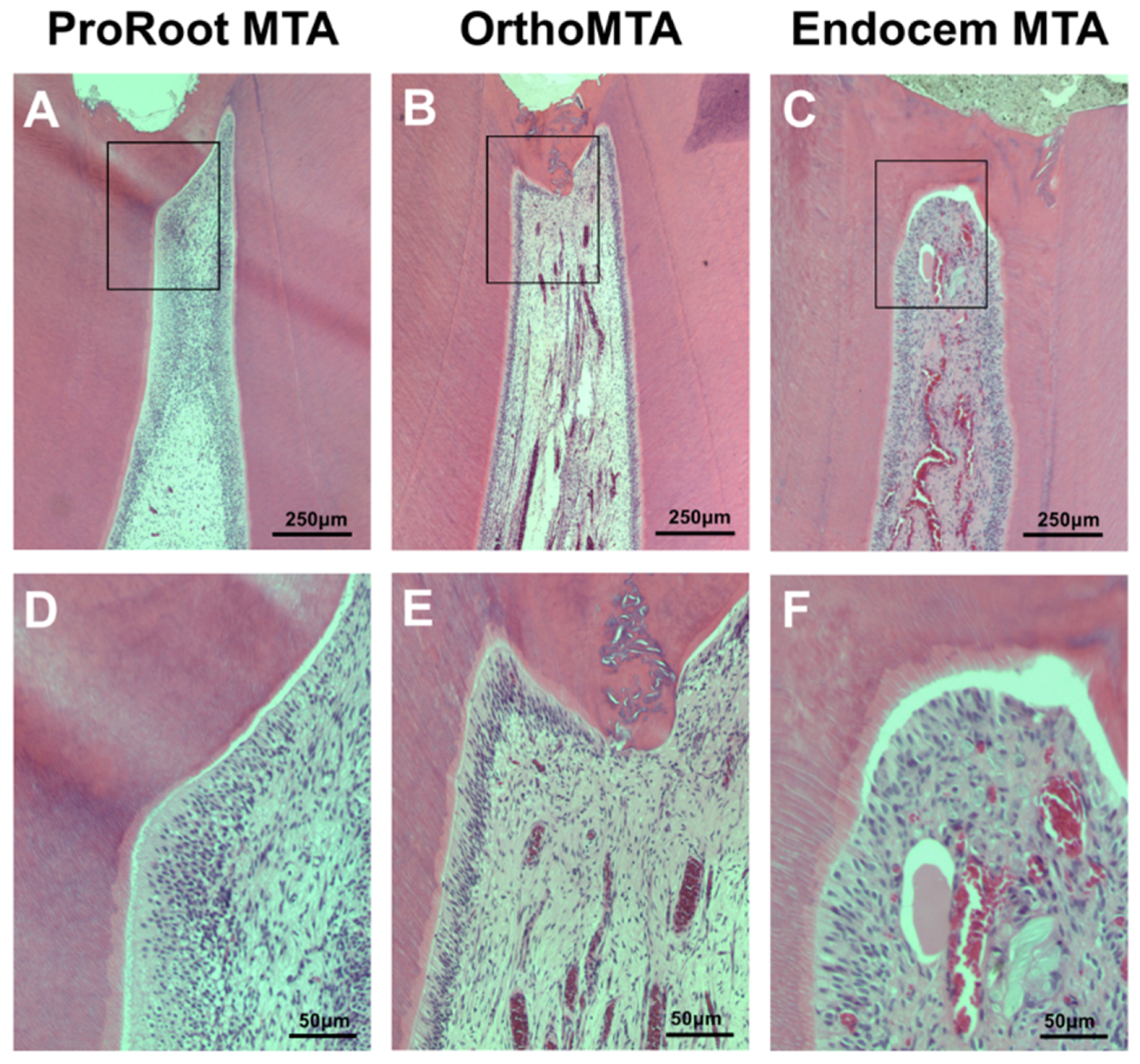 Materials 11 00899 g001