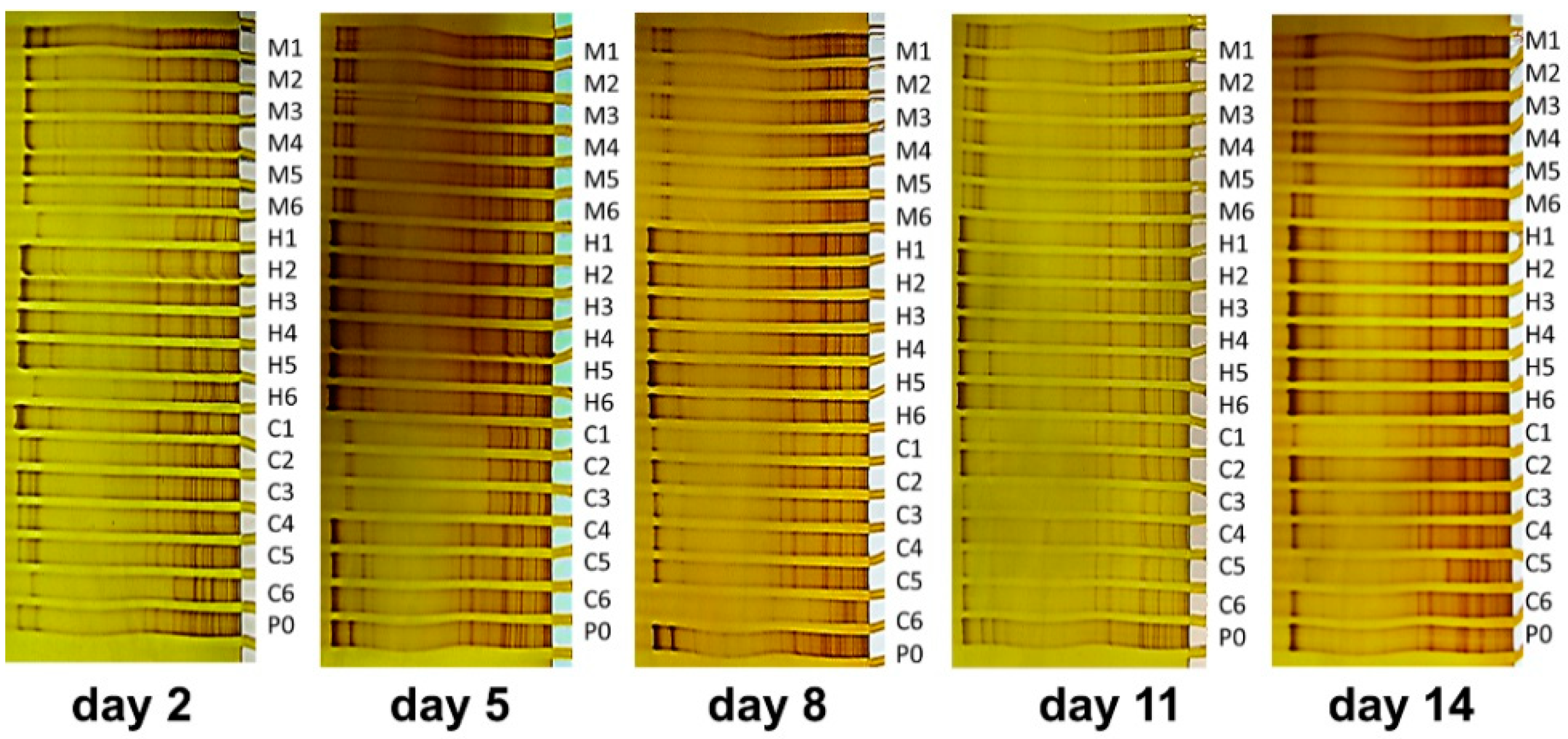 Materials 11 00902 g004 550