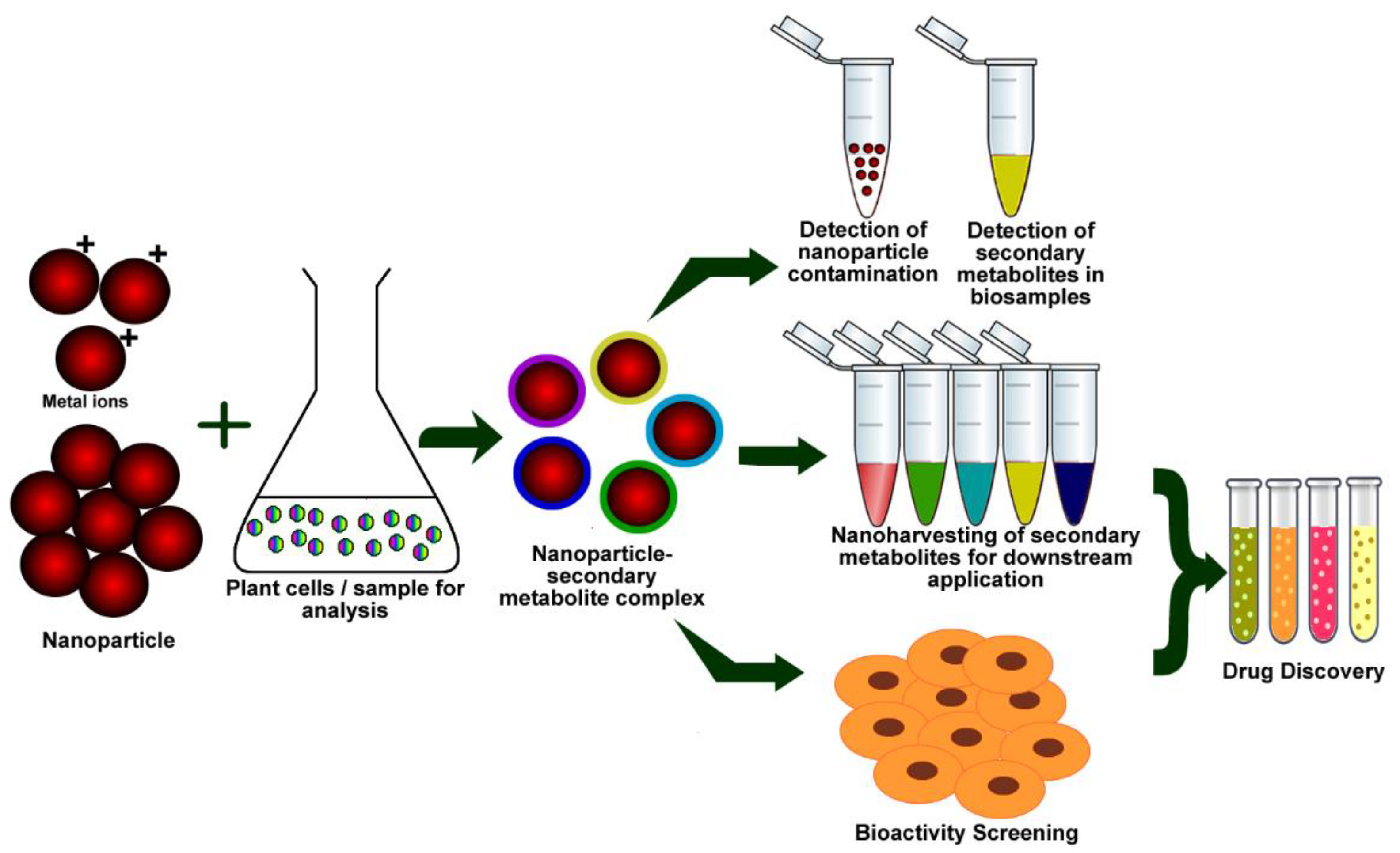 Materials Free FullText Secondary Metabolites in the