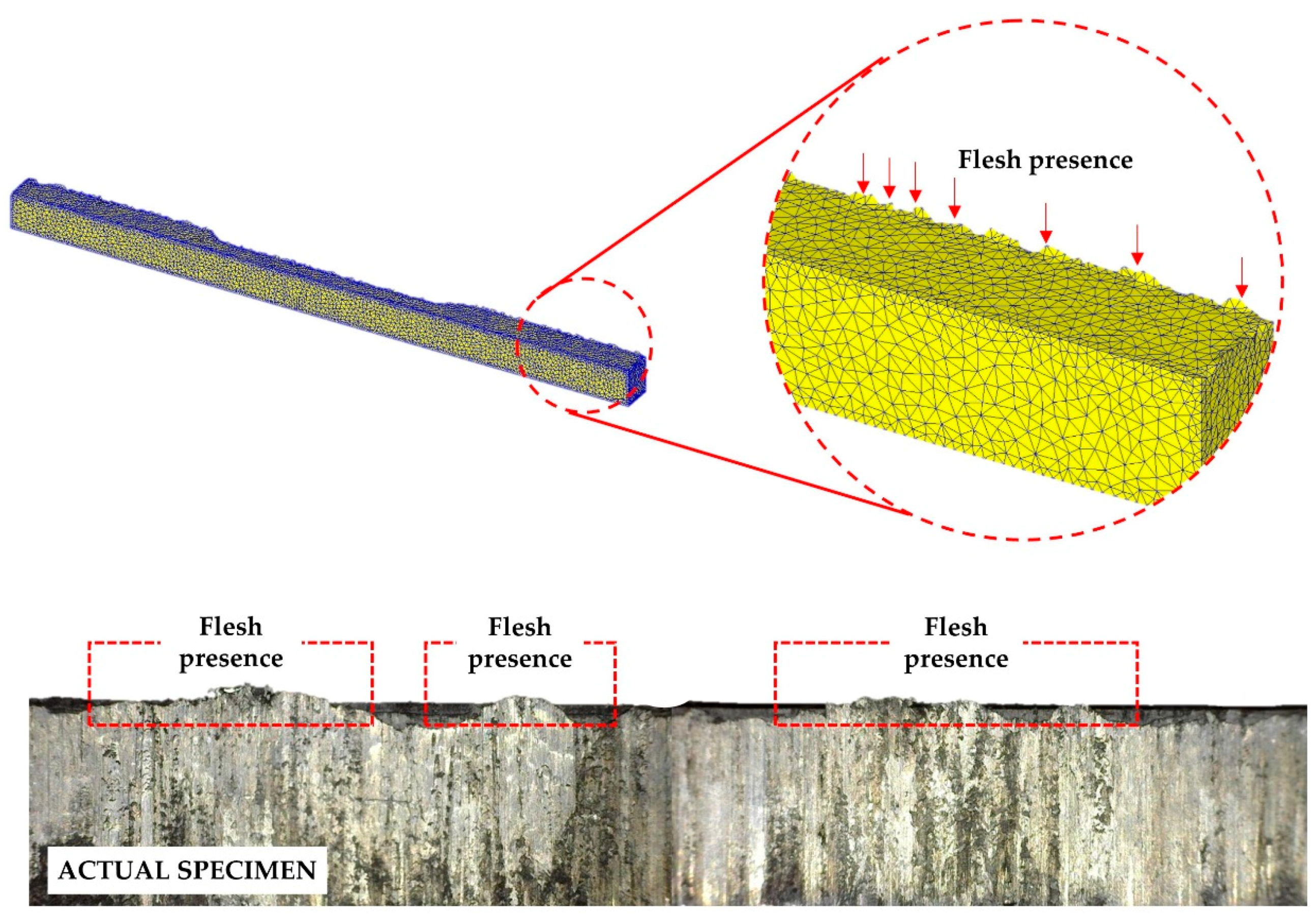 Materials 11 00958 g012