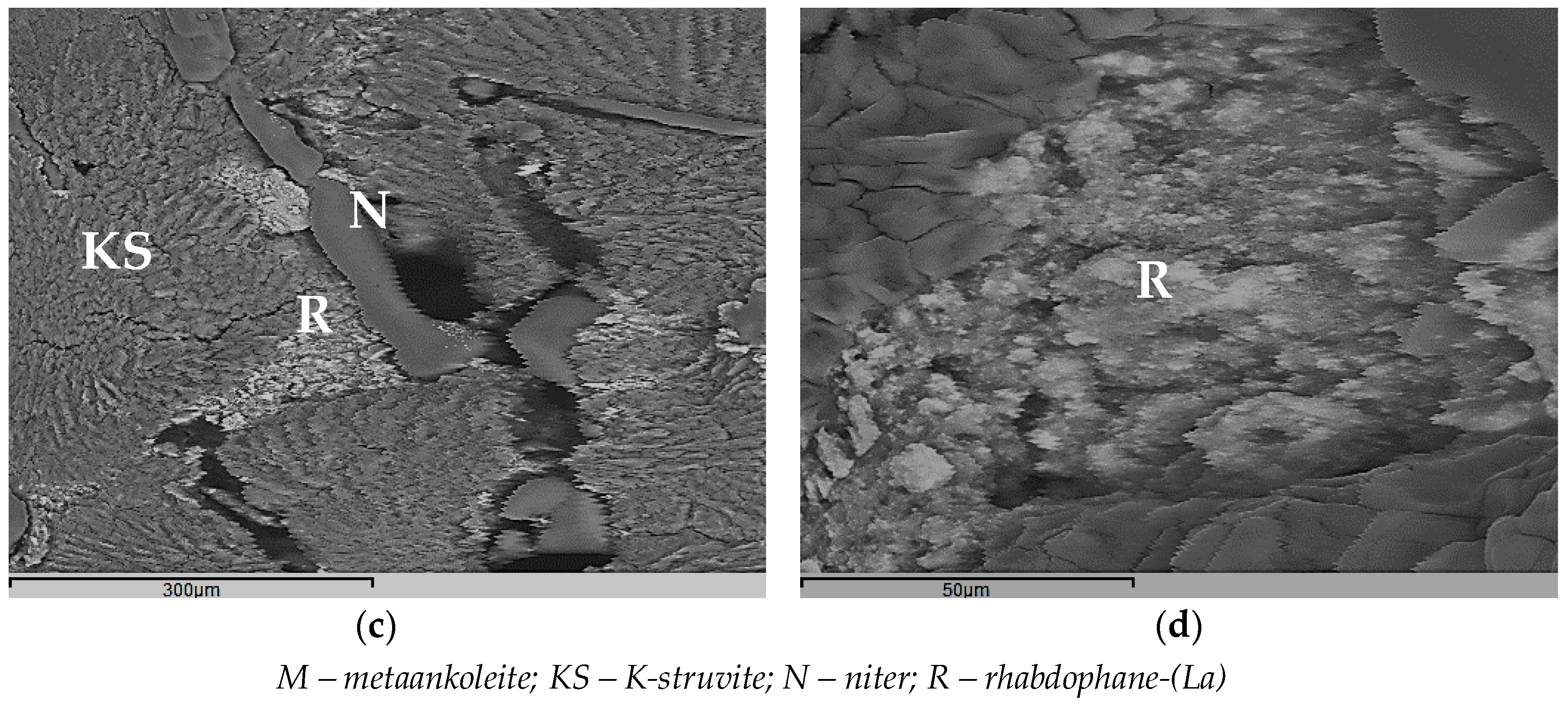 Rare Earth Elements Radioactive