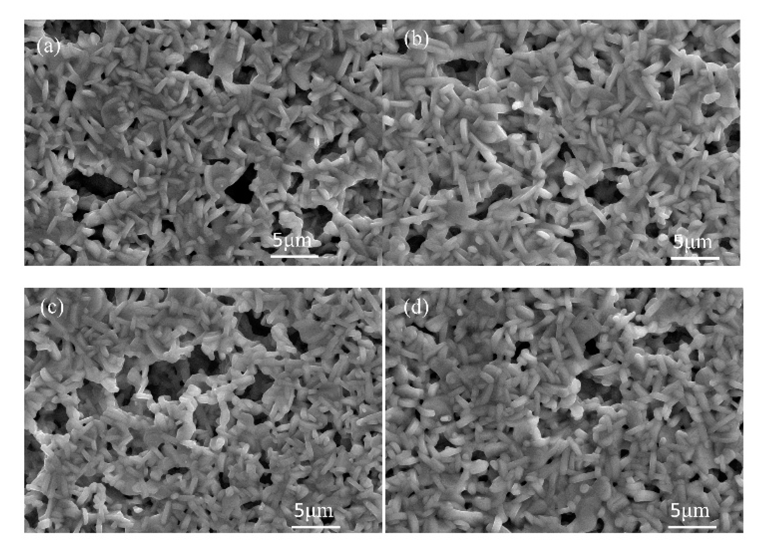 Materials 11 00987 g006 550