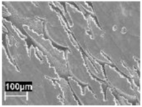 Materials 11 01051 i001