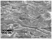 Materials 11 01051 i004