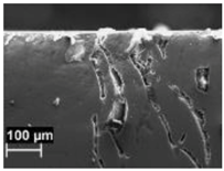 Materials 11 01051 i006