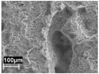 Materials 11 01051 i013