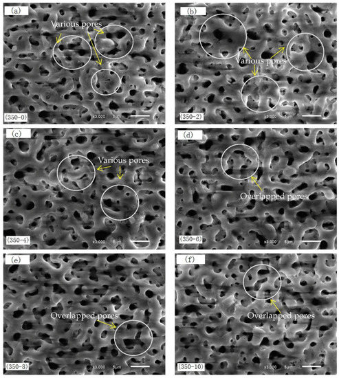 Bacillus subtilis-Derived Surfactin Alleviates Offspring