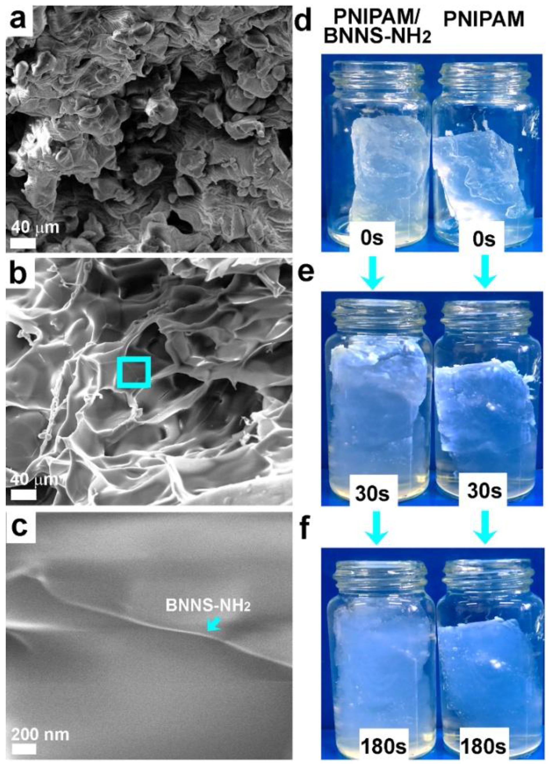 Materials 11 01069 g001