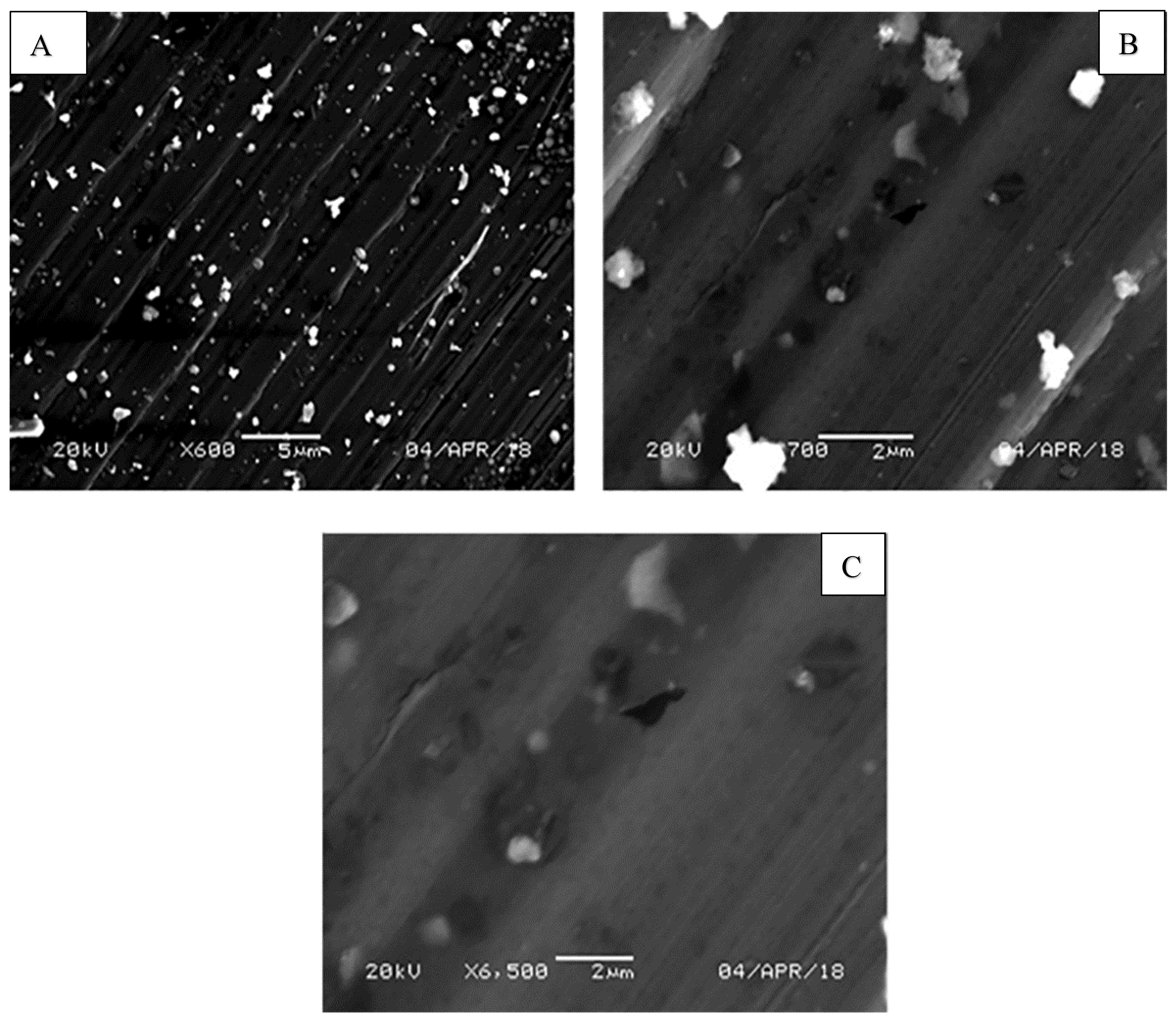 Materials 11 01096 g001 Materials 11 01096 g001