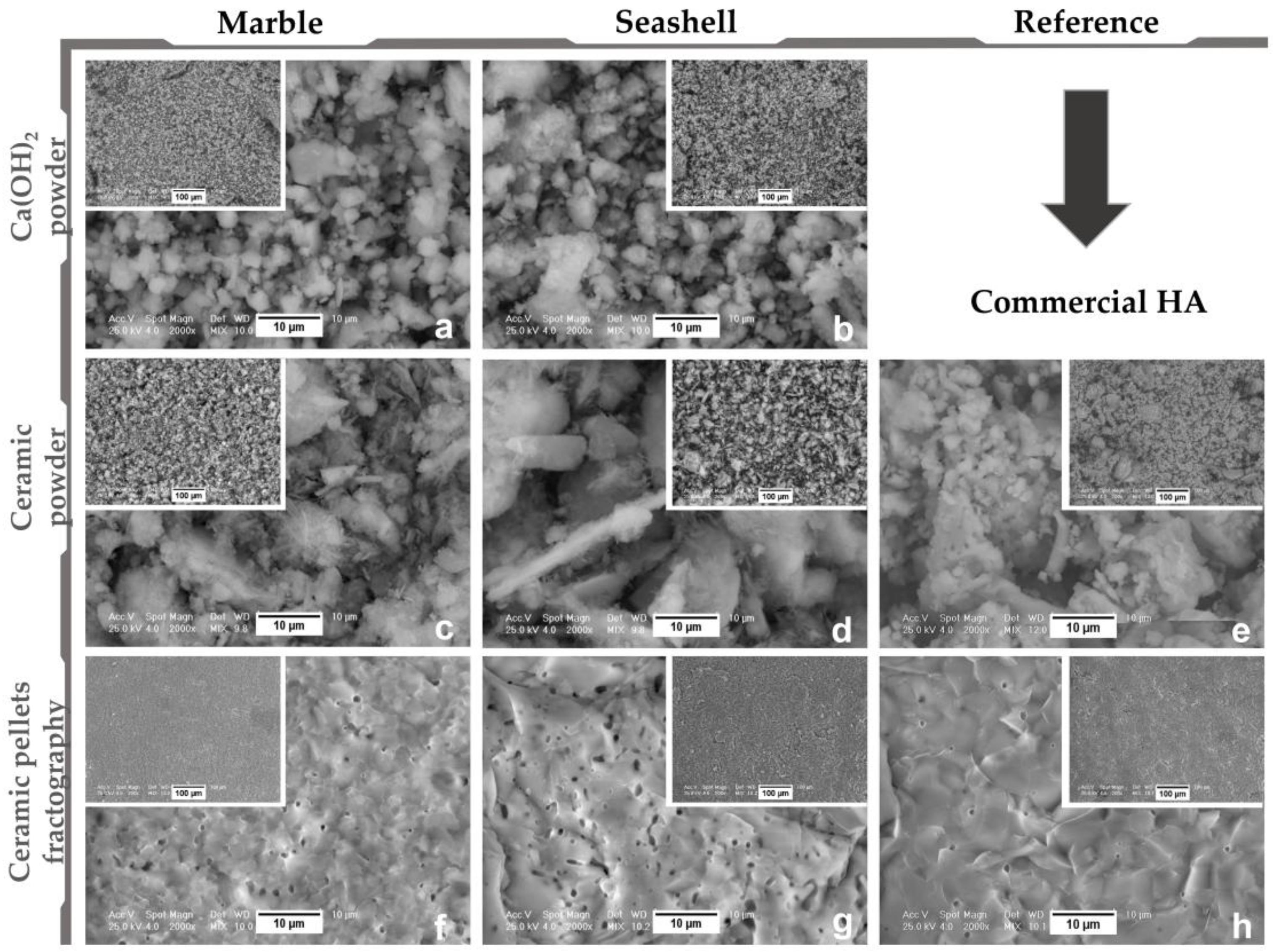 Materials 11 01097 g001 Materials 11 01097 g001