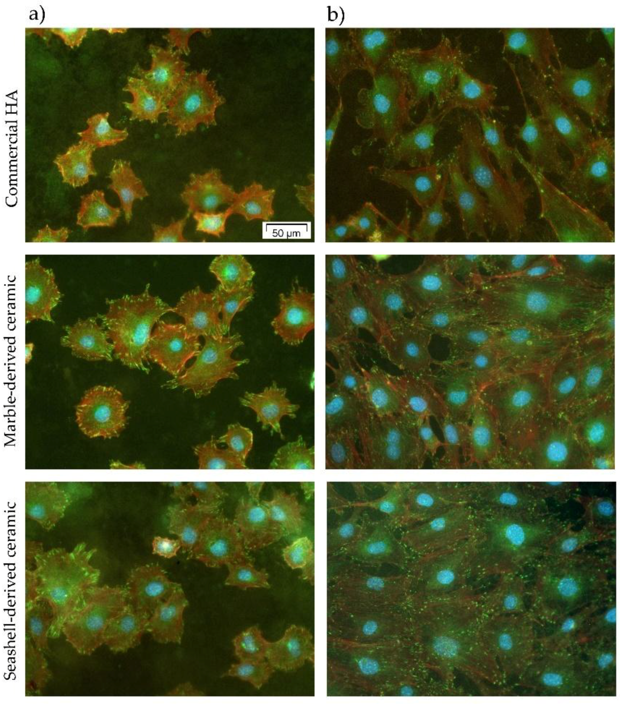Materials 11 01097 g007 Materials 11 01097 g007