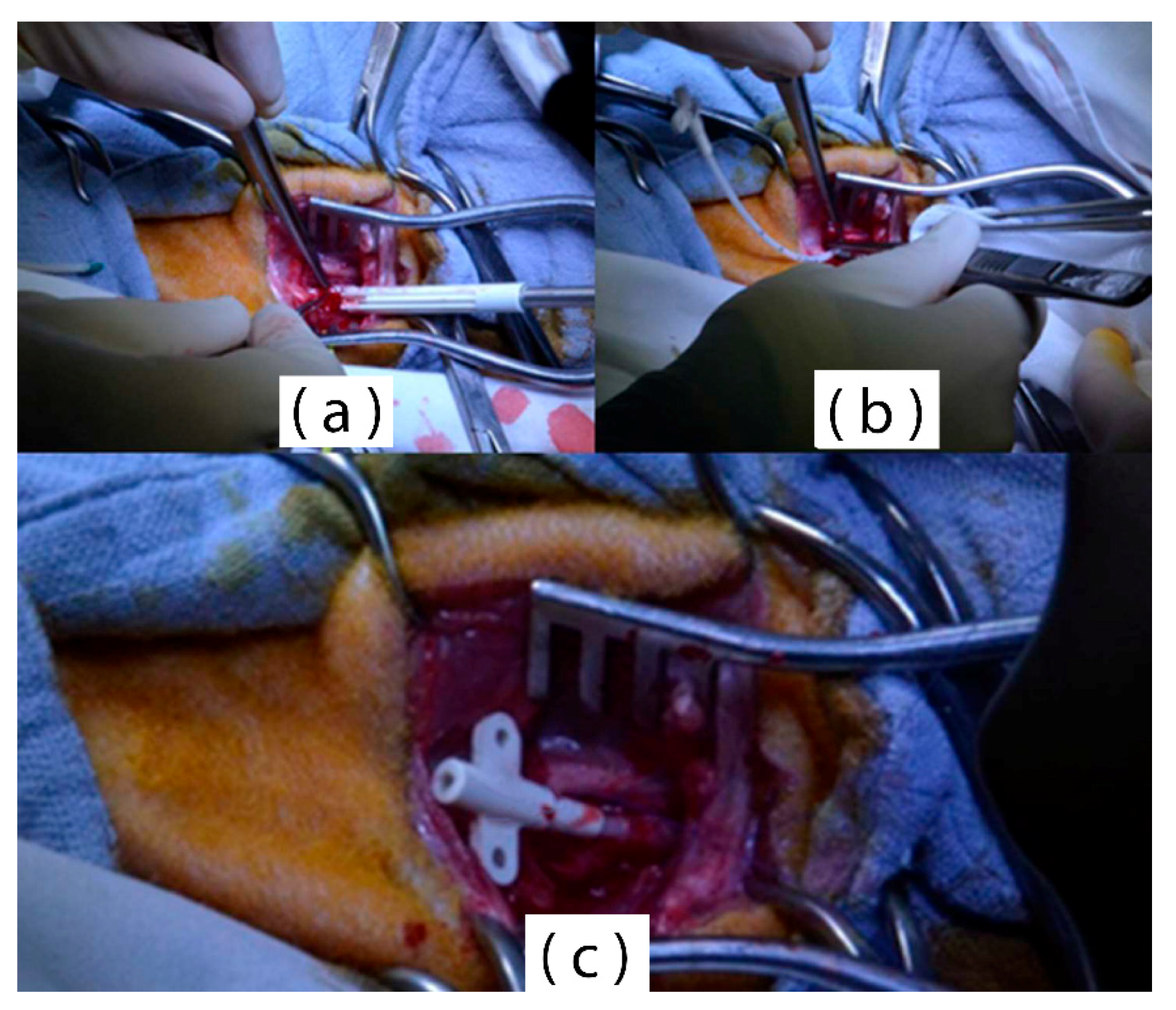 Materials 11 01109 g010 Materials 11 01109 g010