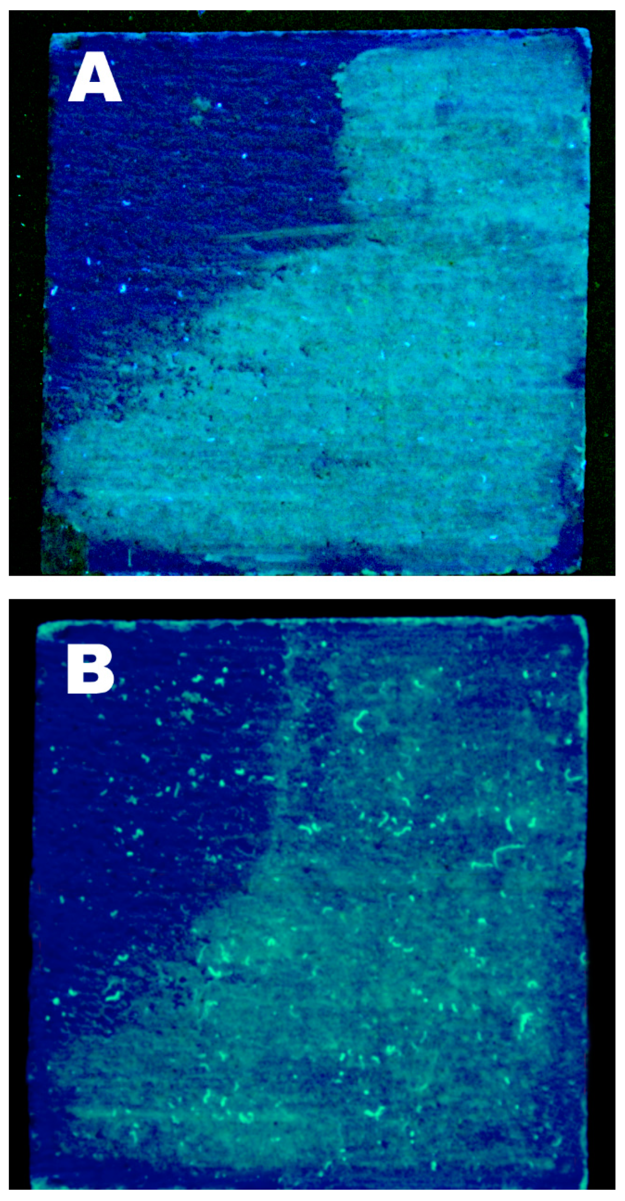 Materials Free FullText A Triton X100Based Microemulsion for the