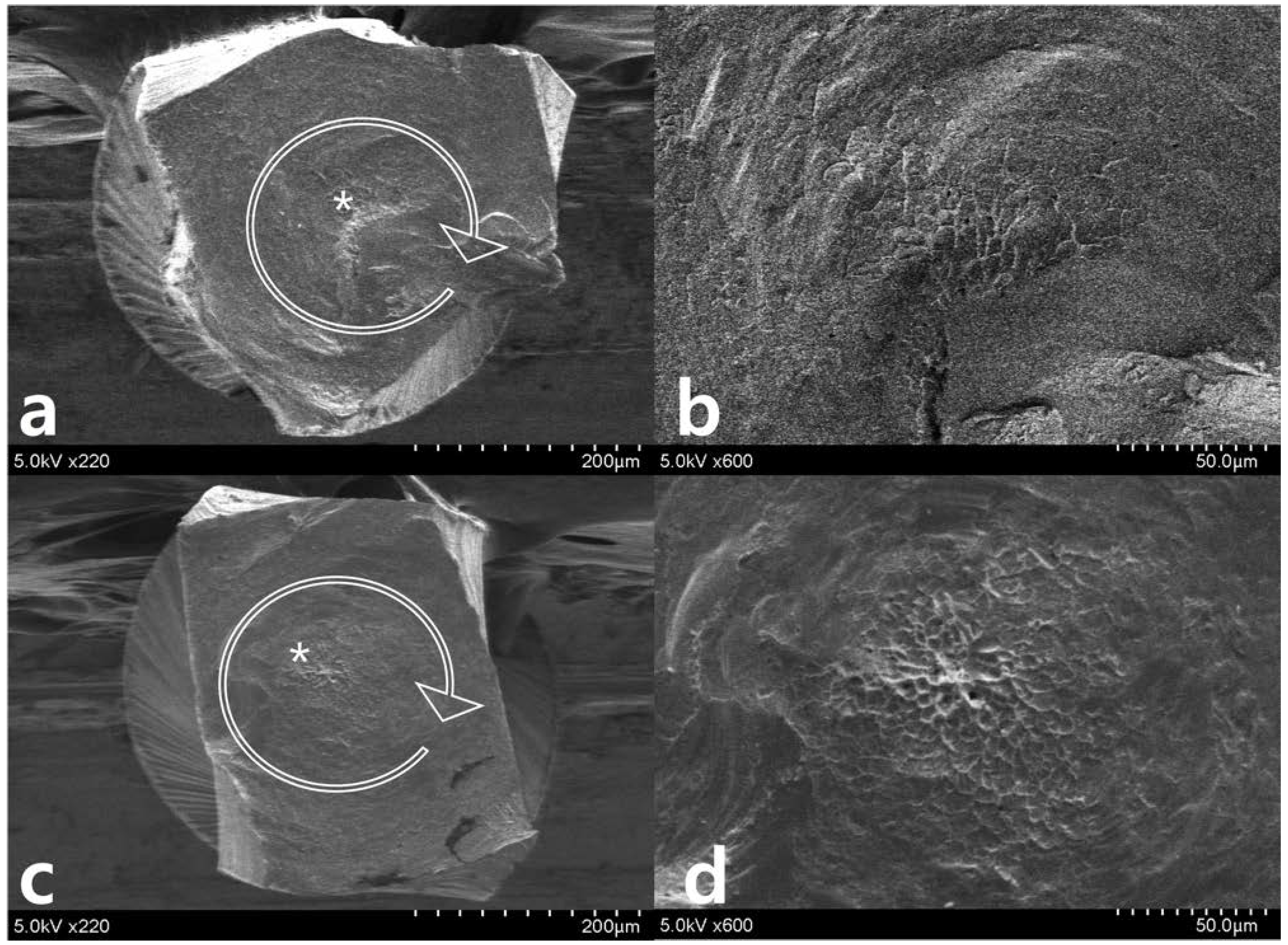 Materials 11 01150 g006 Materials 11 01150 g006